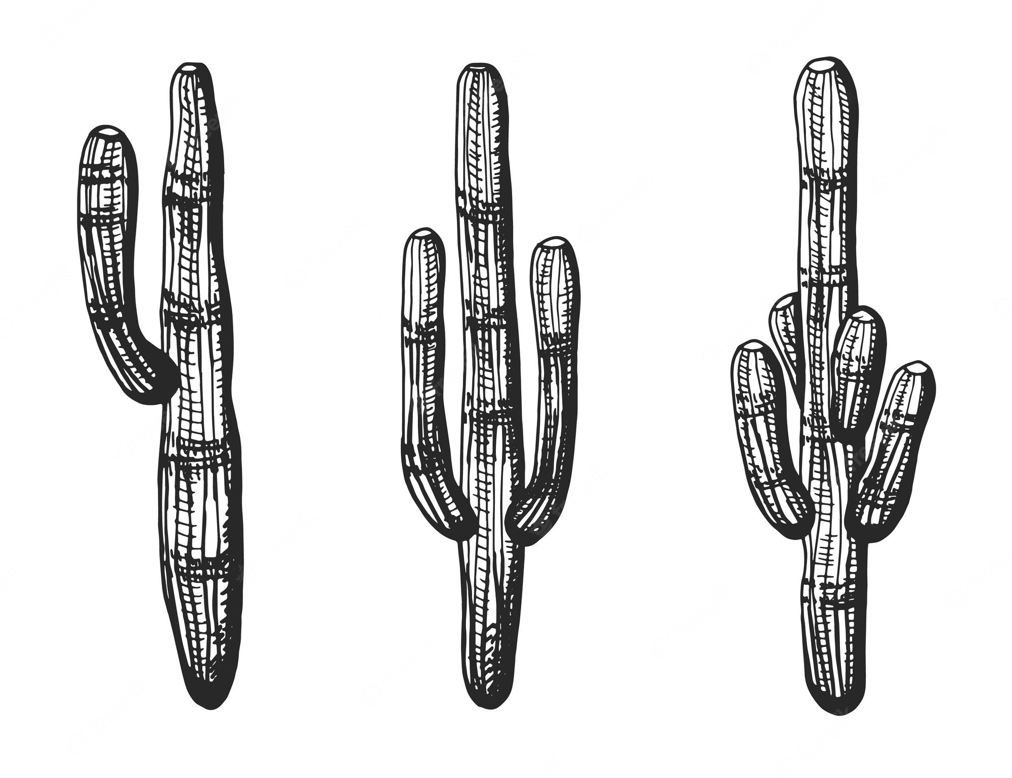 Saguaro Geometric Line Art Wallpapers