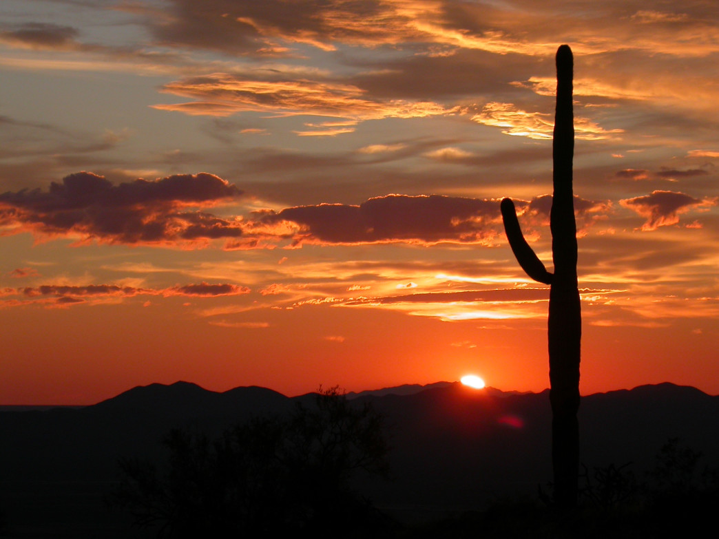 Saguaro National Park Wallpapers