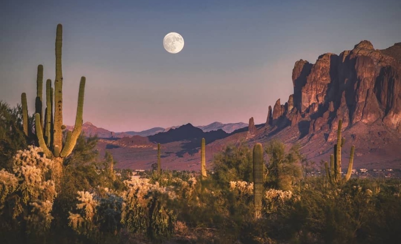 Saguaro National Park Wallpapers