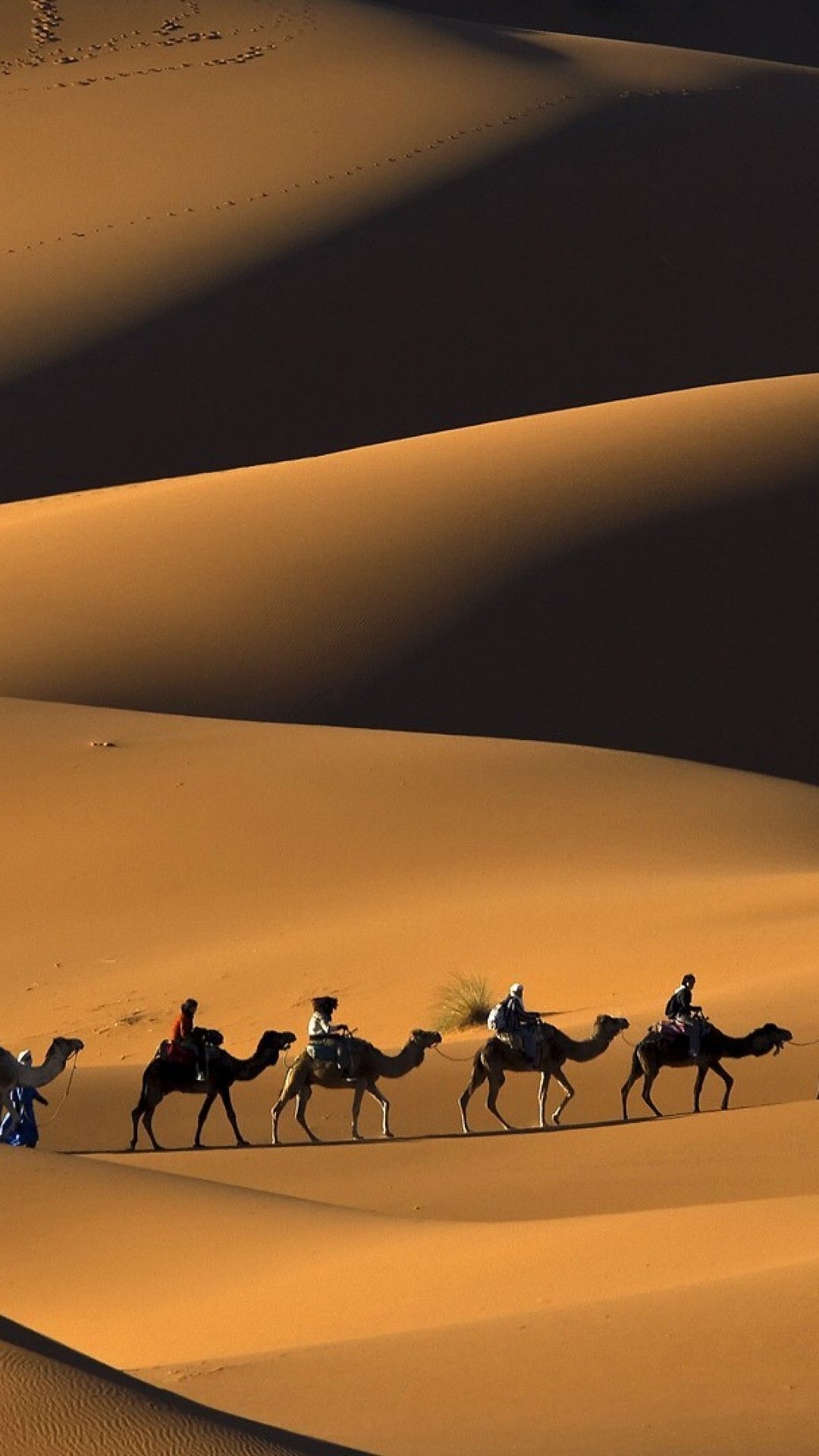 Караван ролики. Пустыня сахара бедуины верблюда. Верблюды Караван. Марокко Караван. Пески Верблюды, пустыня, Караван.