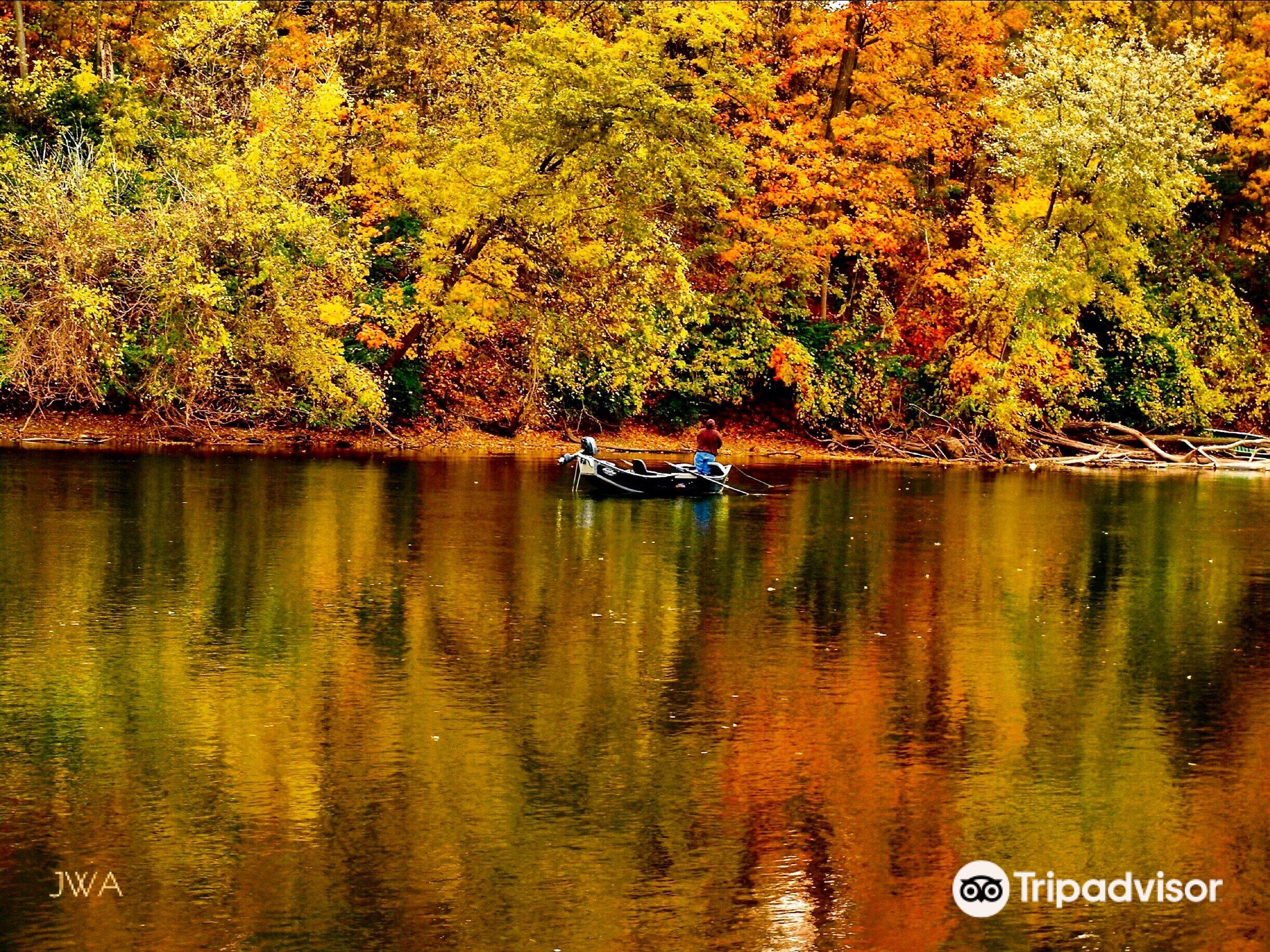 Saint Joe River Reflection Wallpapers