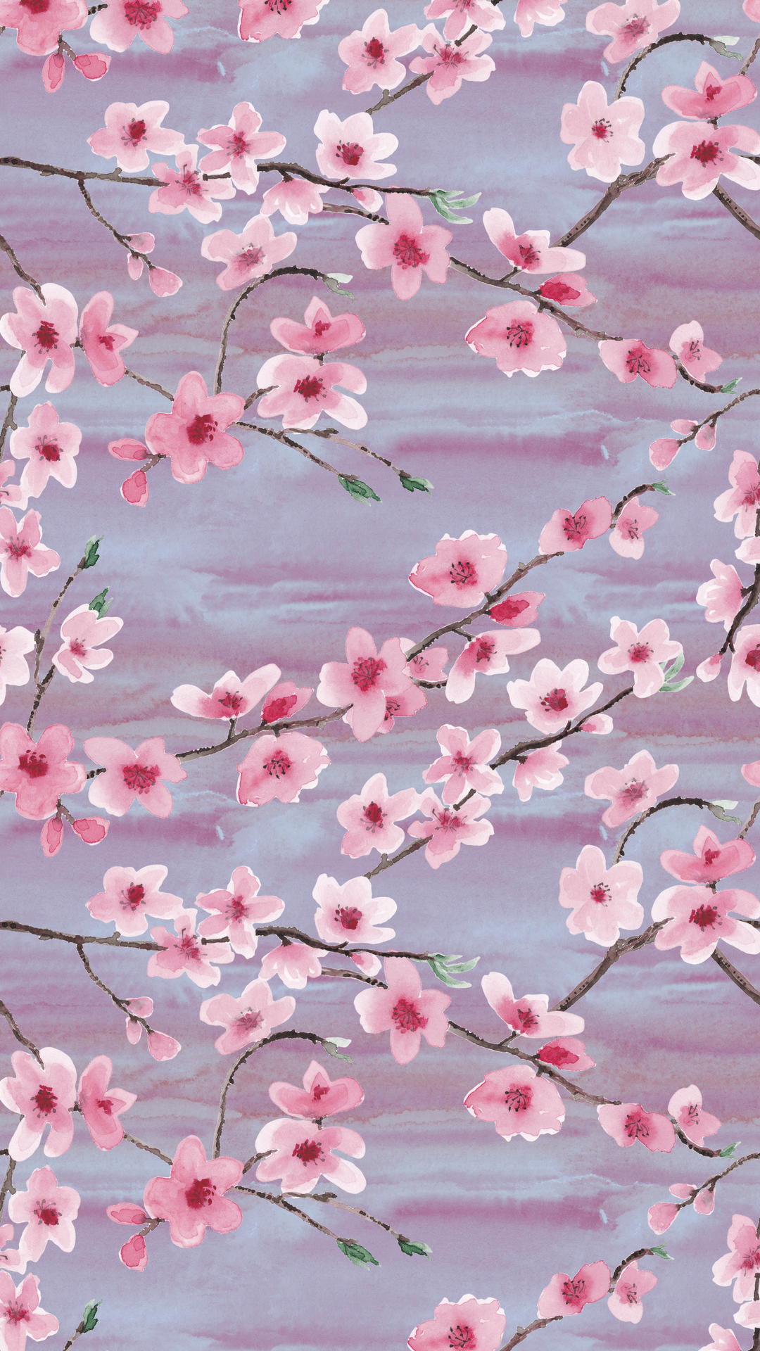 Sakura Aesthetic Wallpapers