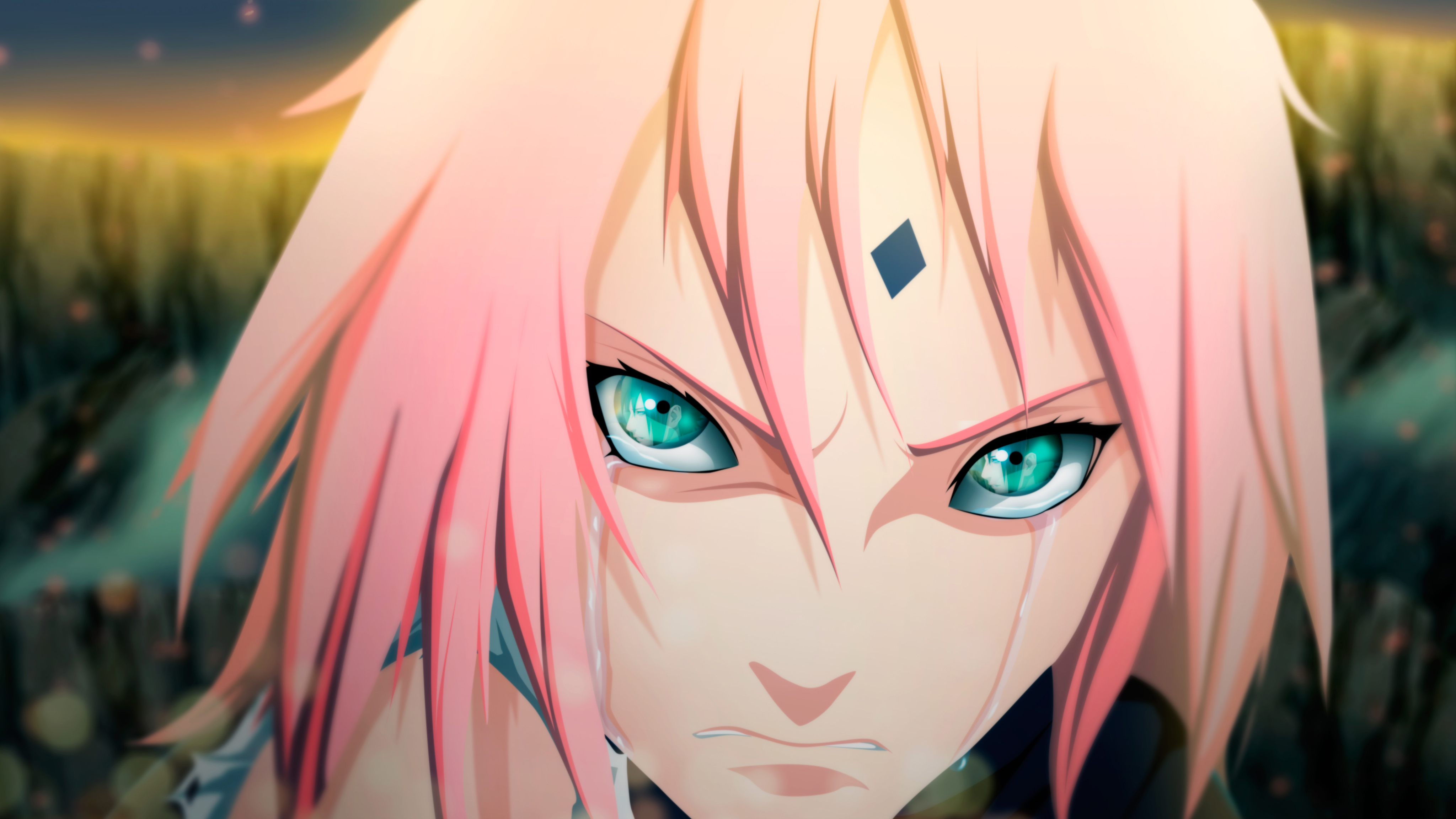 Sakura Haruno Wallpapers