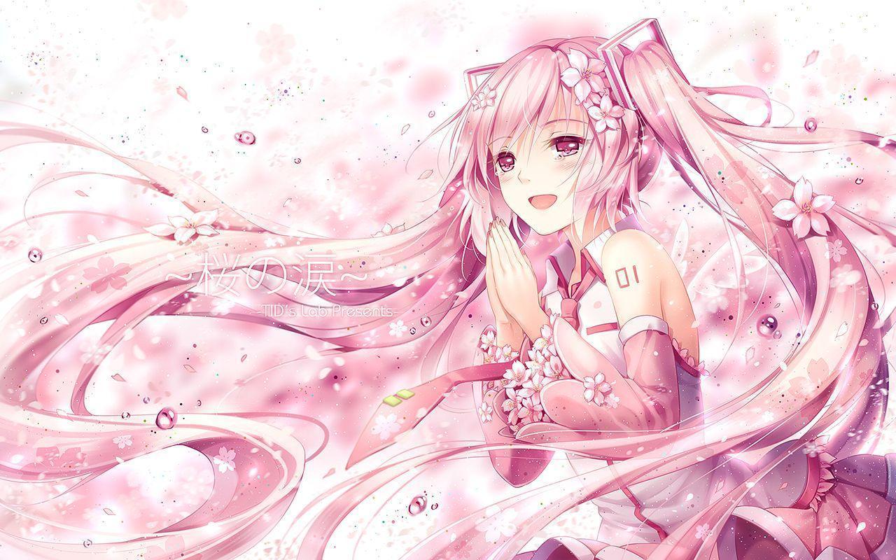 Sakura Miku Wallpapers