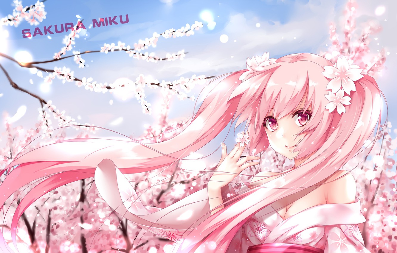 Sakura Miku Wallpapers