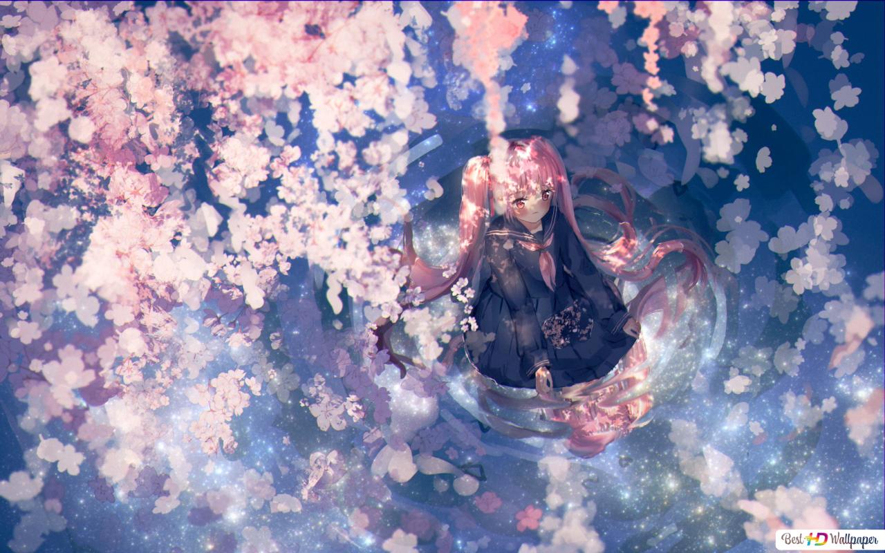 Sakura Miku Wallpapers