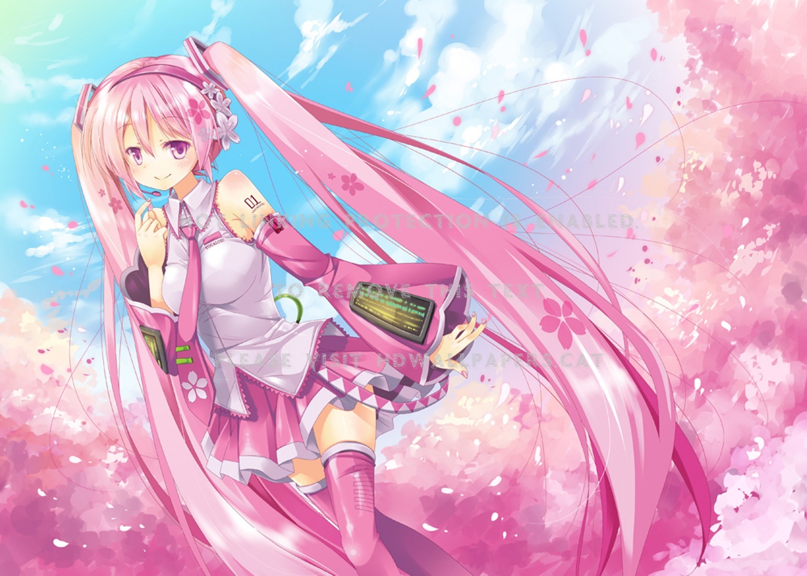 Sakura Miku Wallpapers