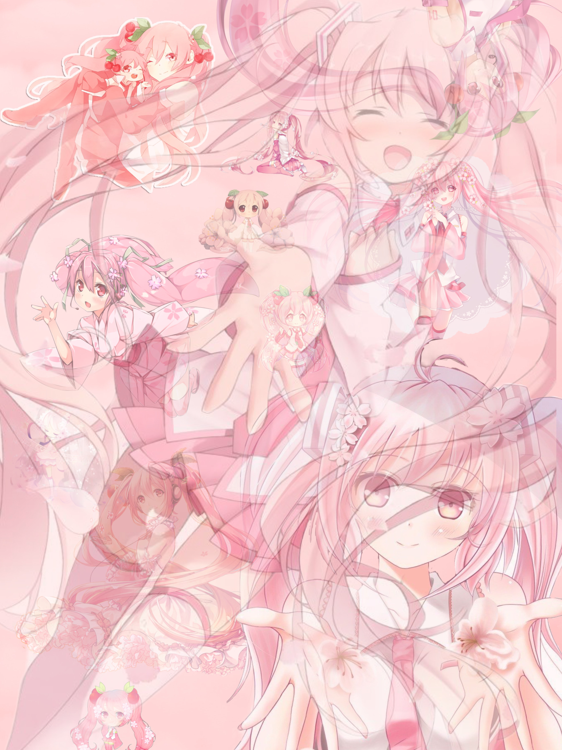 Sakura Miku Wallpapers