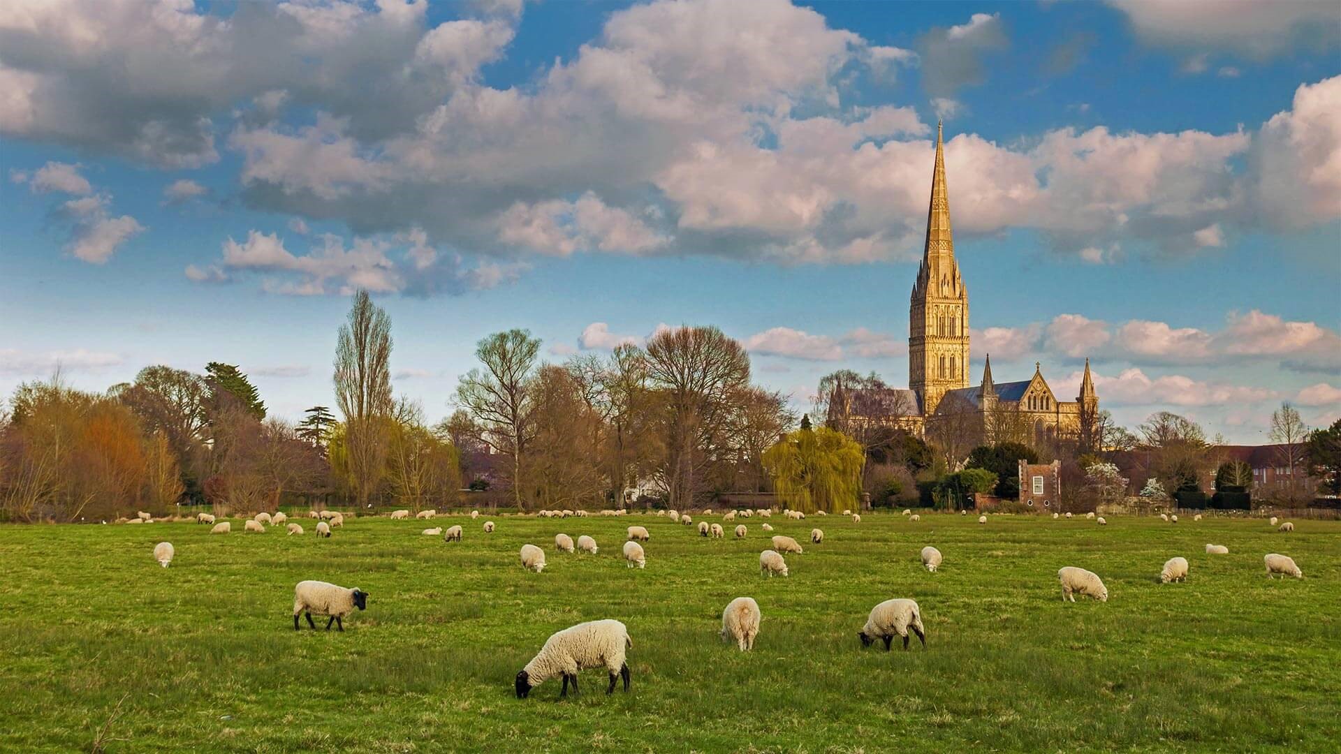 Salisbury Cathedral Wallpapers