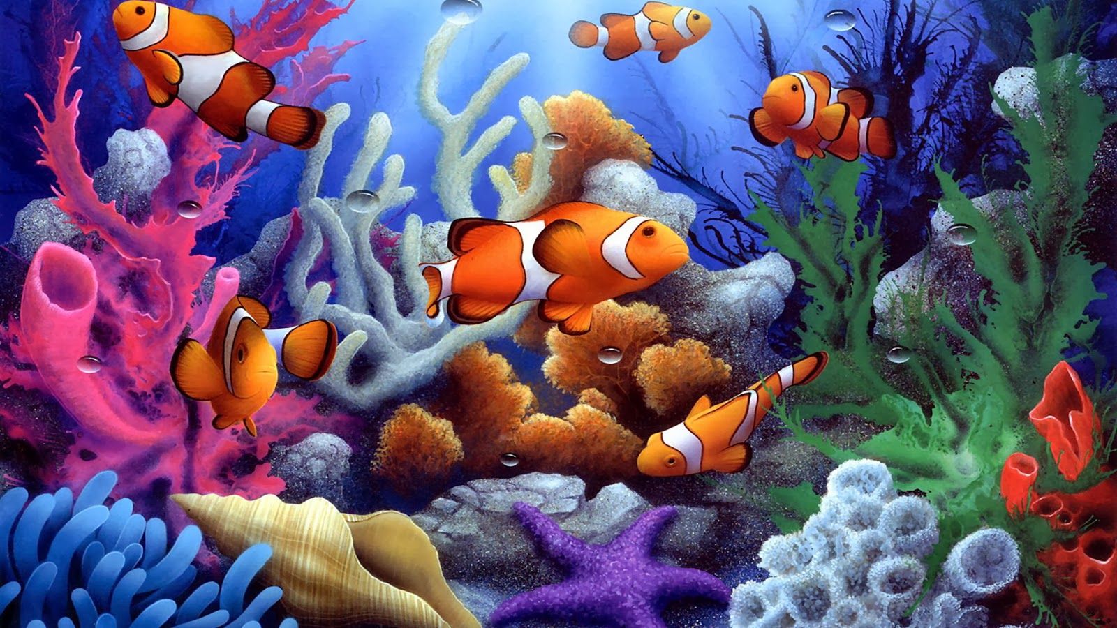 Saltwater Fish Wallpapers