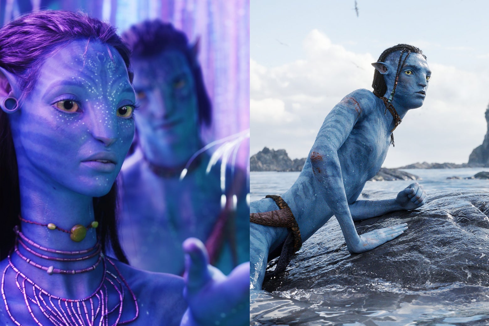 Sam Worthington As Jake Sully Avatar Wallpapers