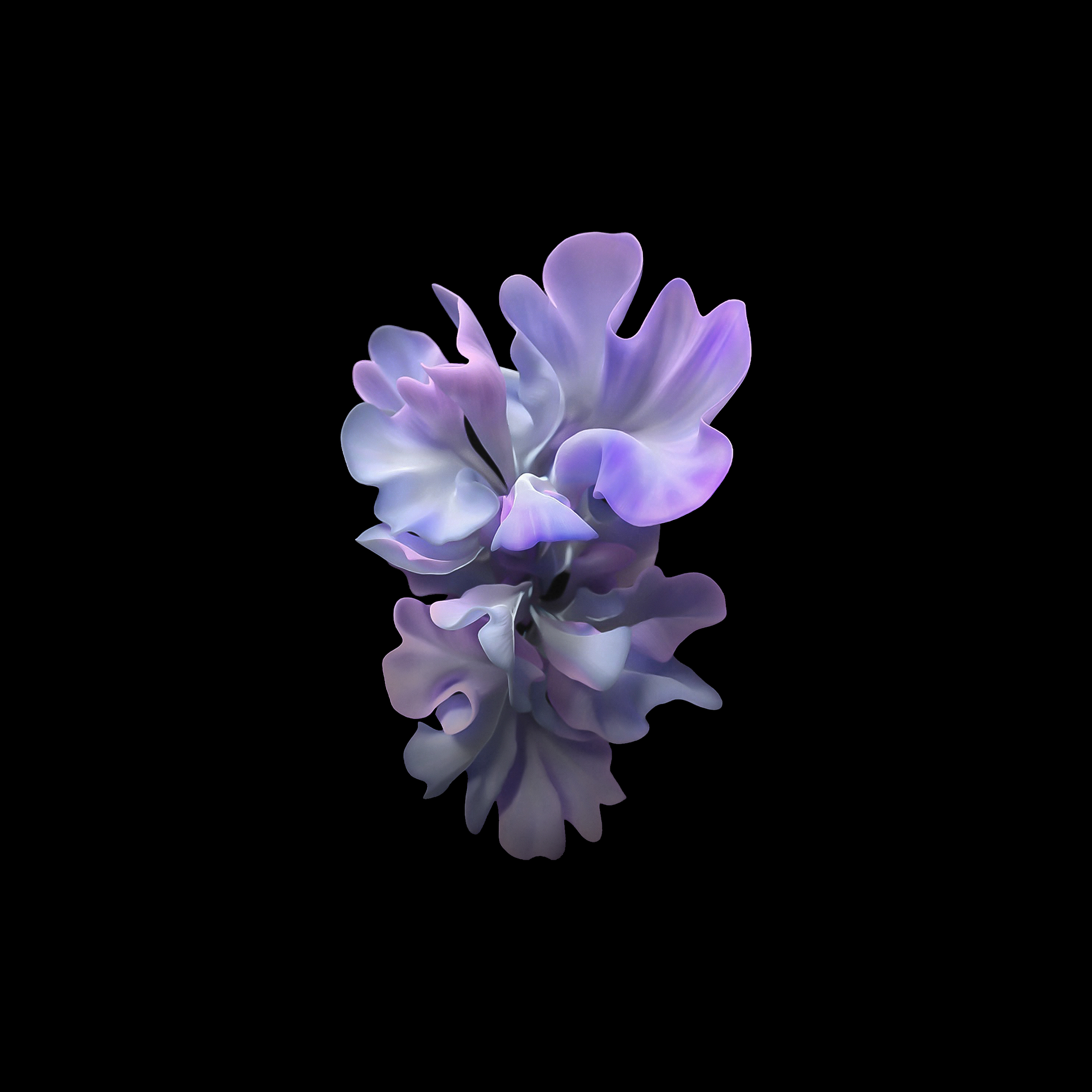 Samsung Flower Wallpapers