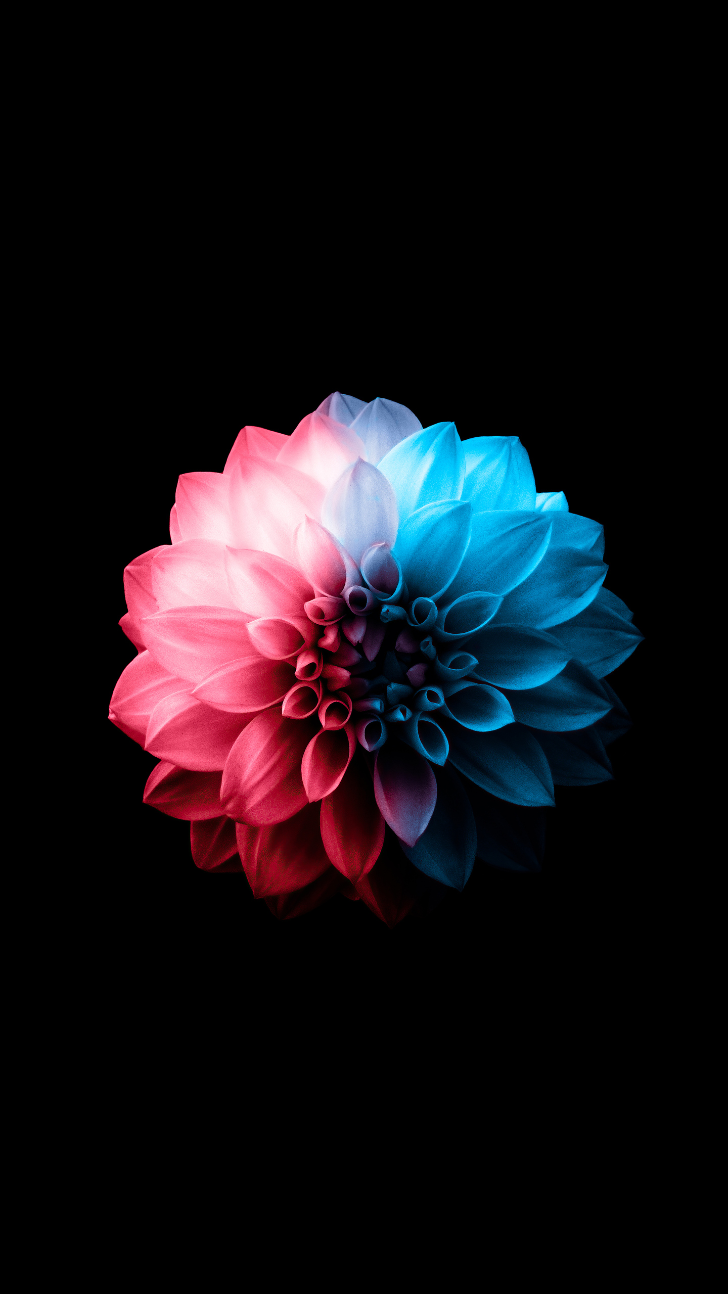 Samsung Oled Wallpapers