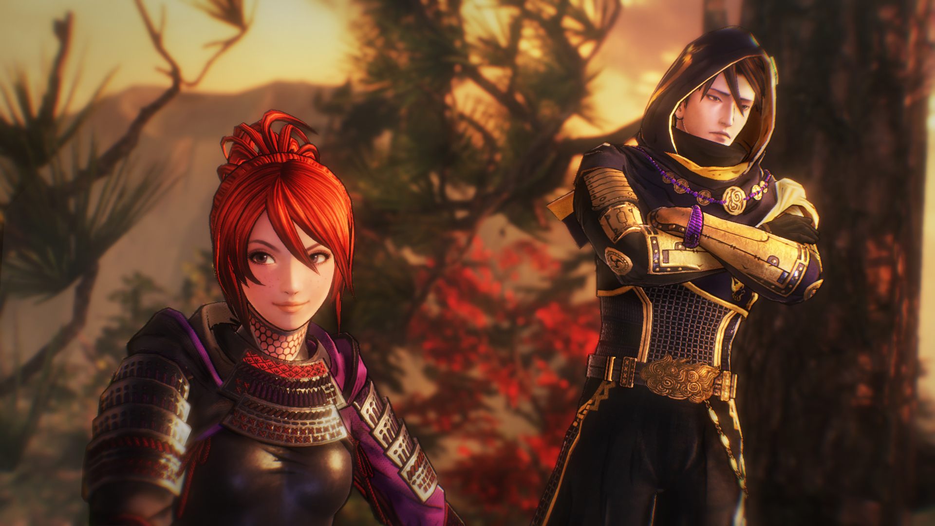 Samurai Warriors 5 Wallpapers