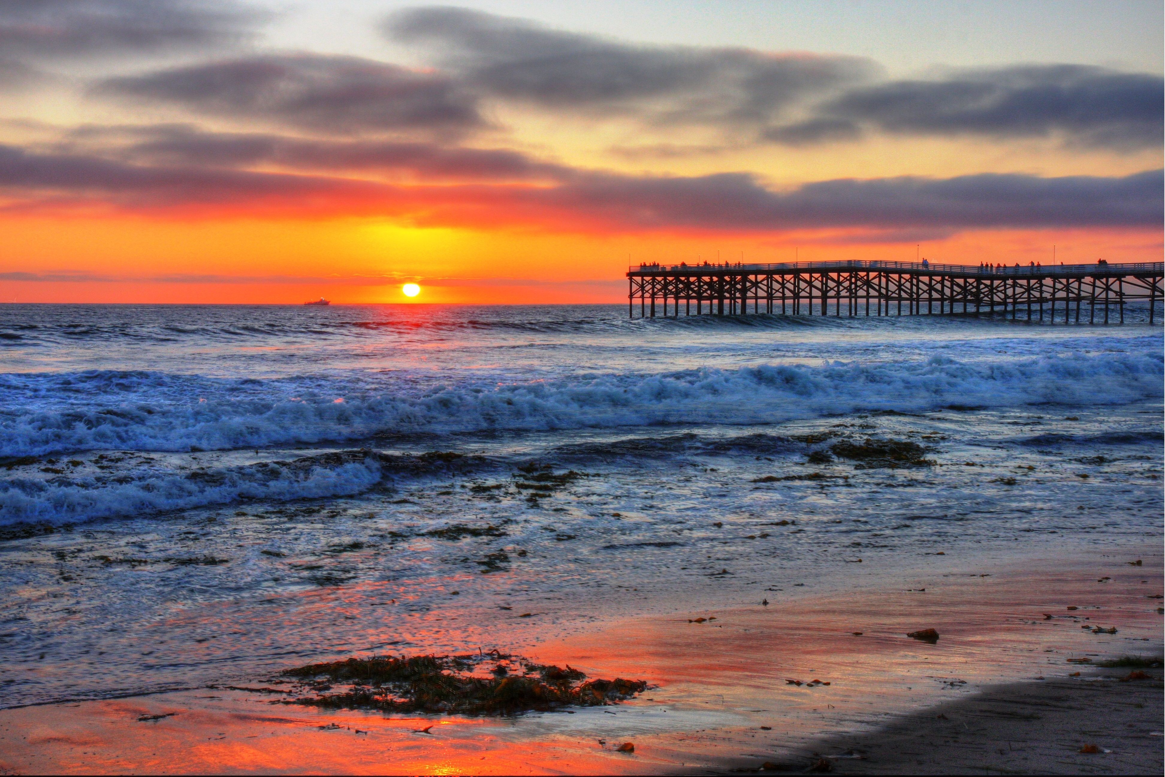 San Diego Beach Wallpapers