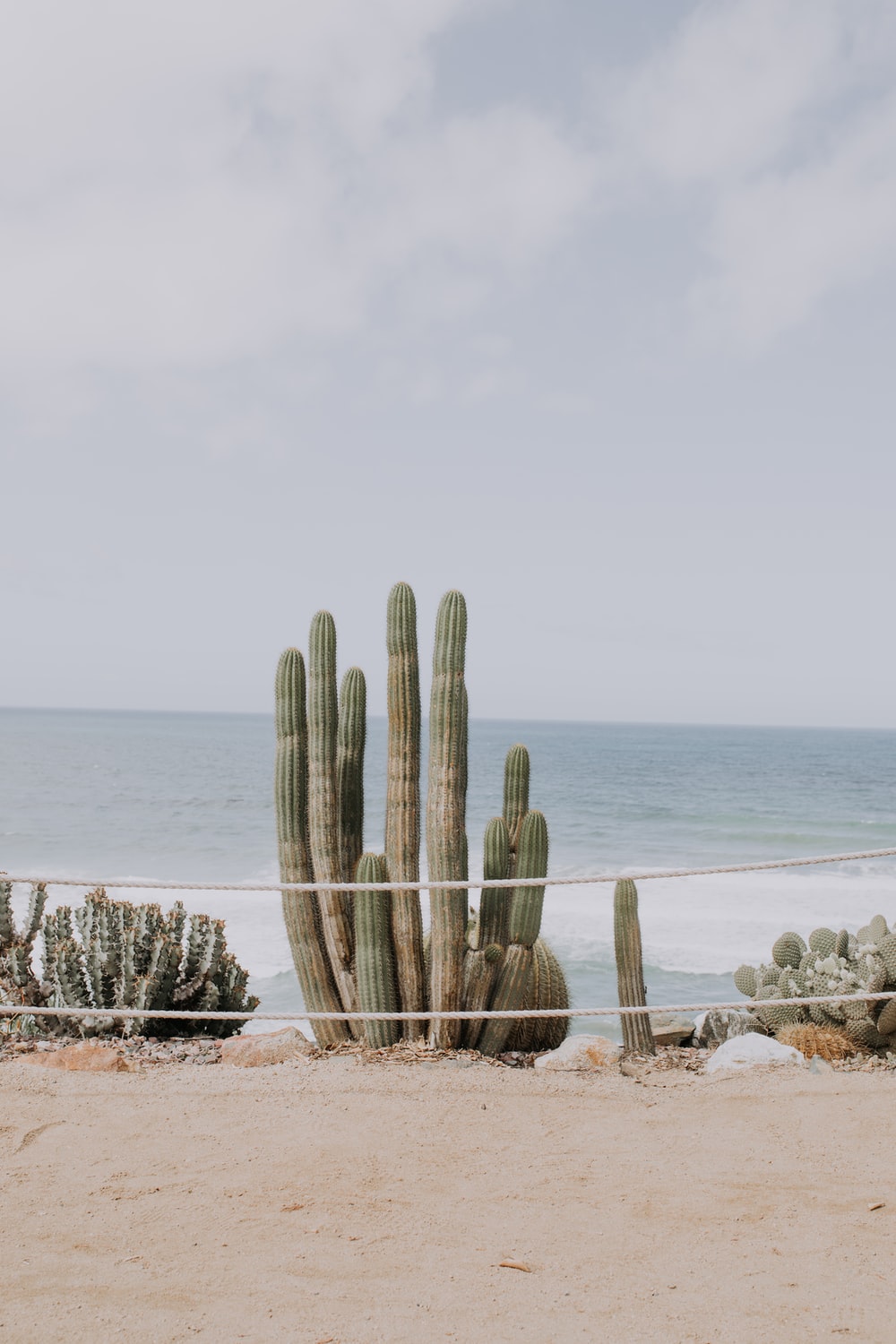 San Diego Beach Wallpapers