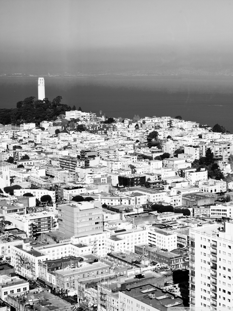 San Francisco Black And White Wallpapers