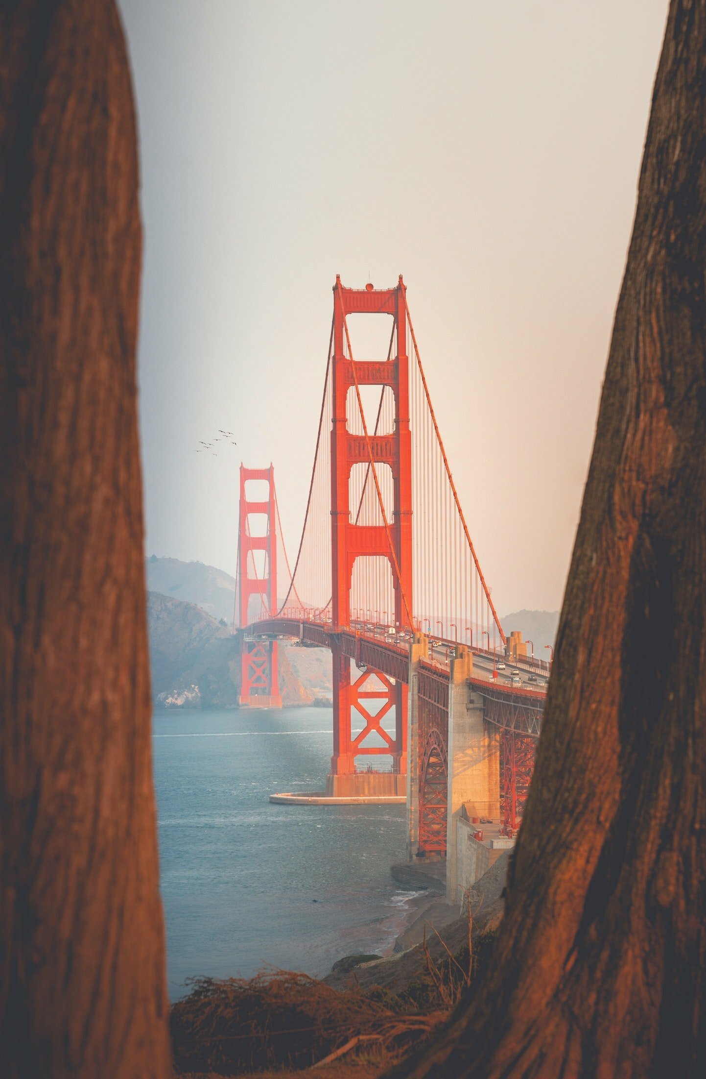 San Francisco Golden Gate Bridge Wallpapers