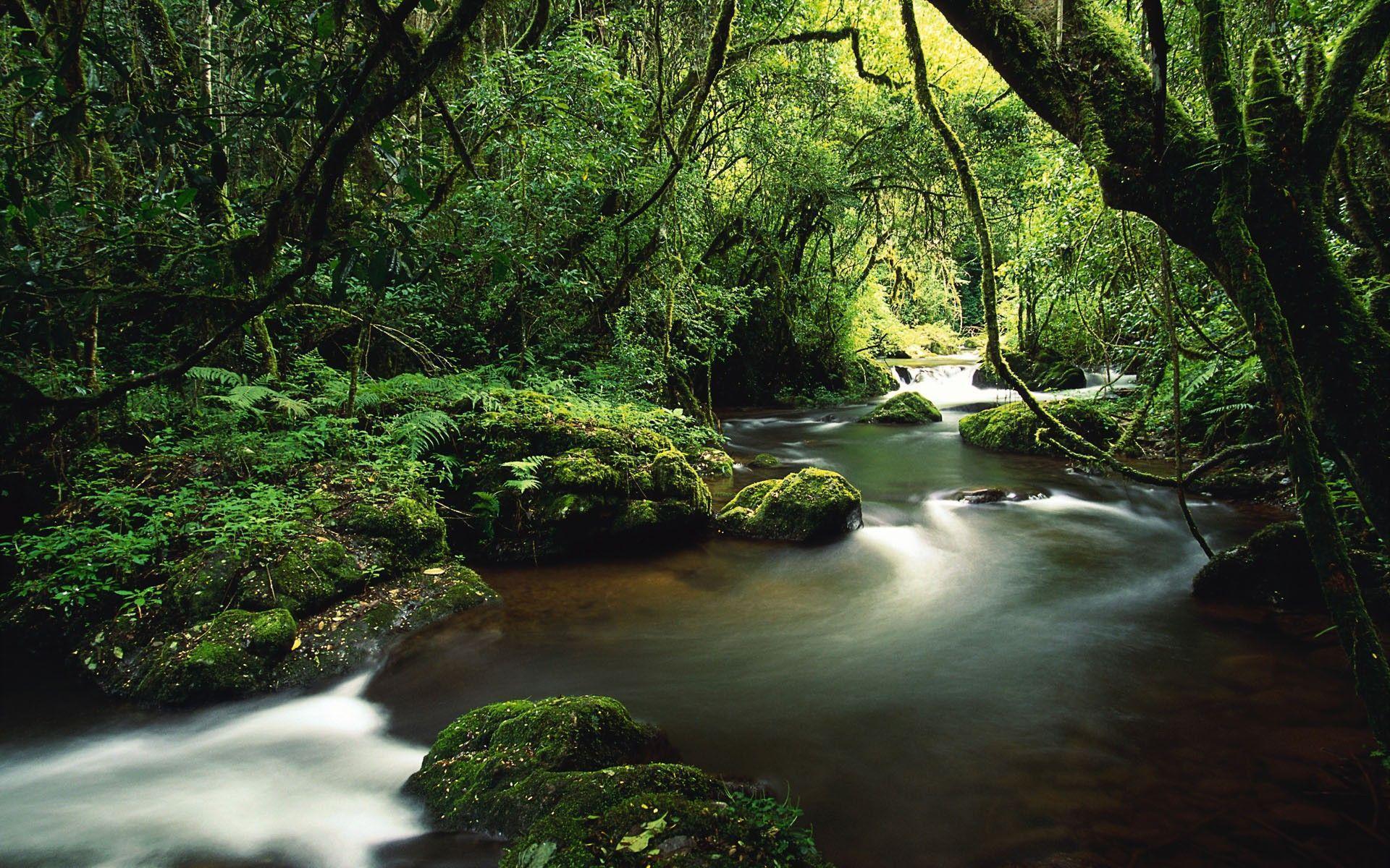 San Jose Costa Rica Wallpapers