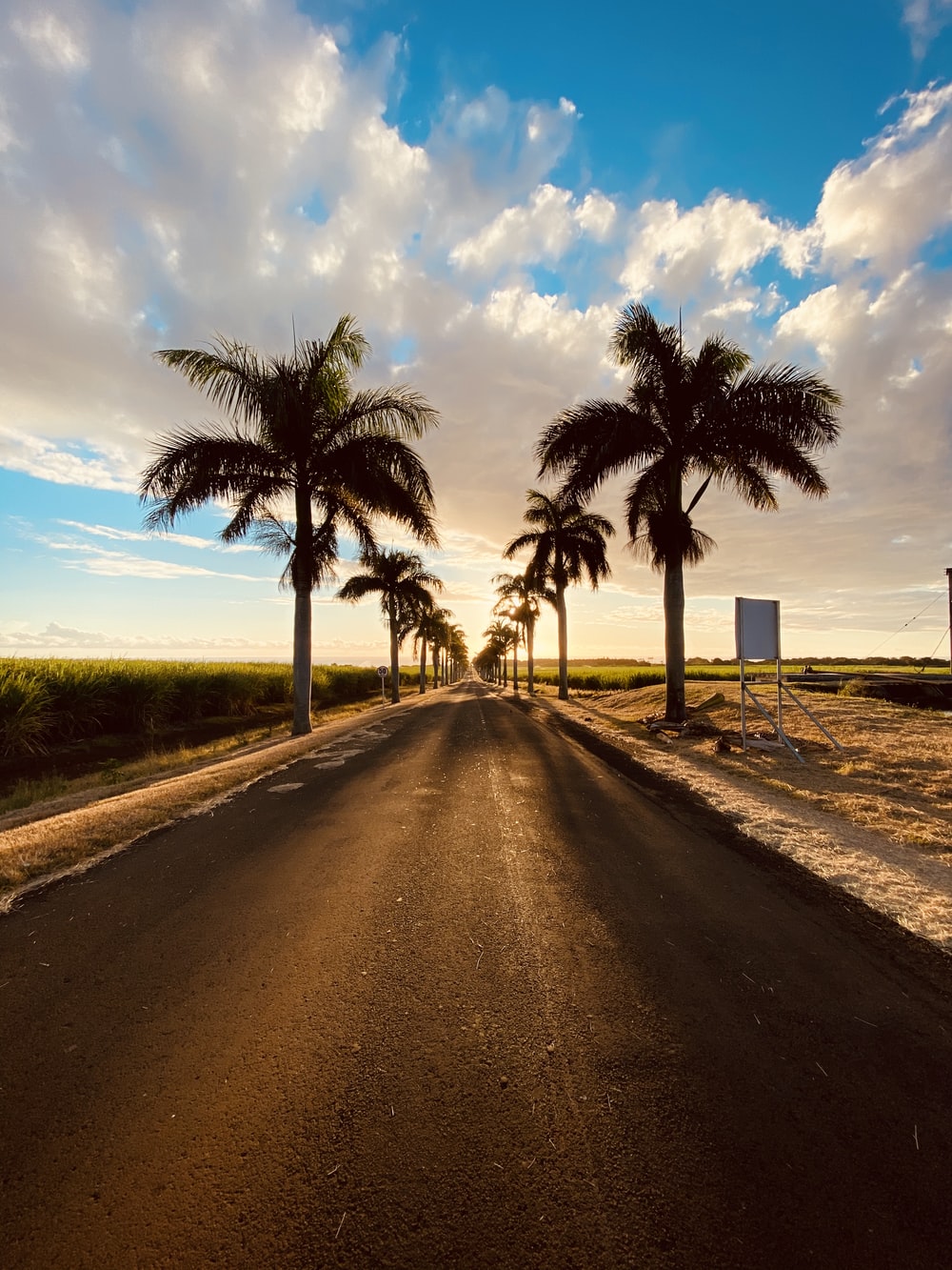 Sand And Pathway To Sea Under Cloudy Sunset Wallpapers