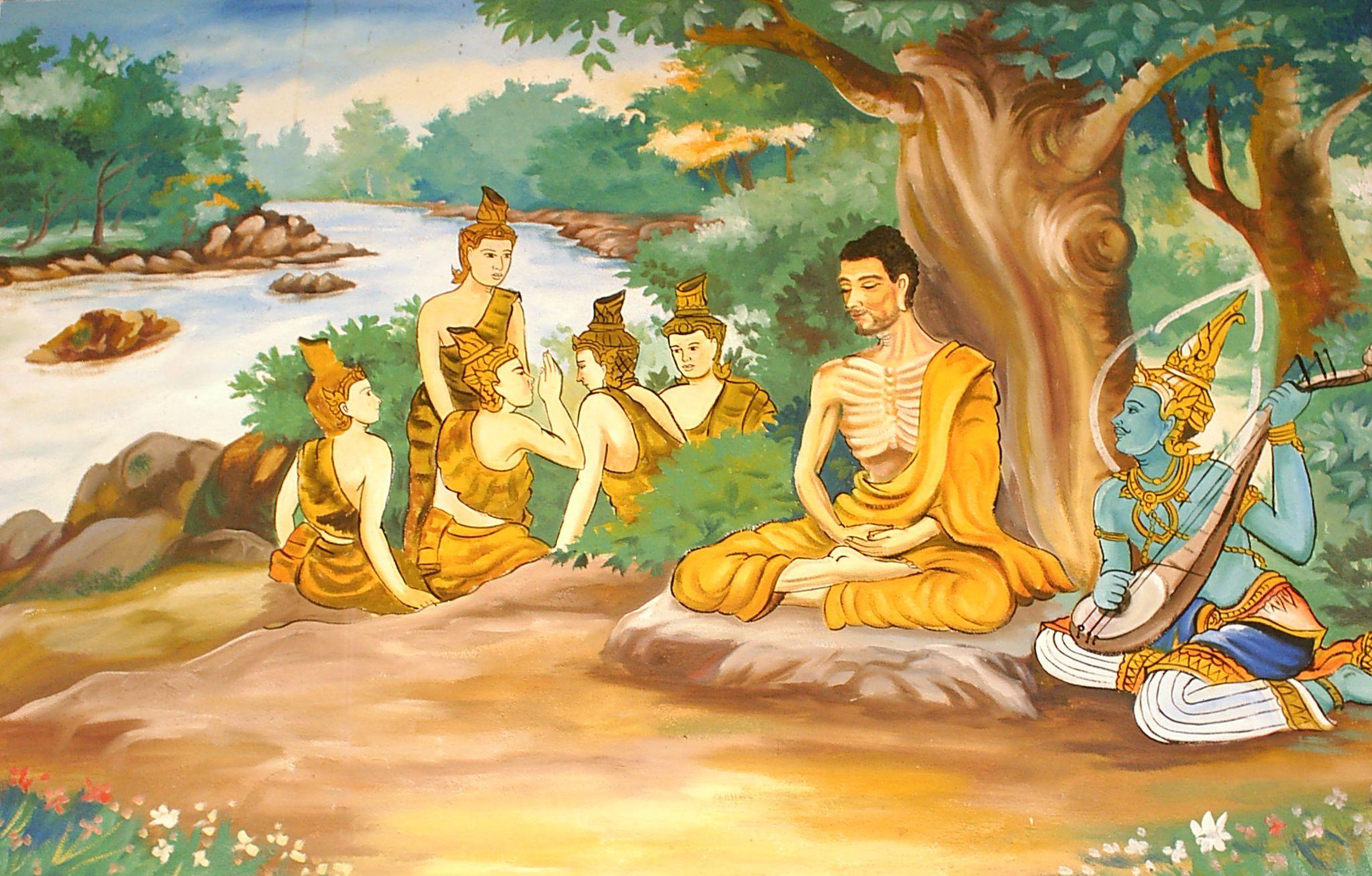 Sangha Wallpapers