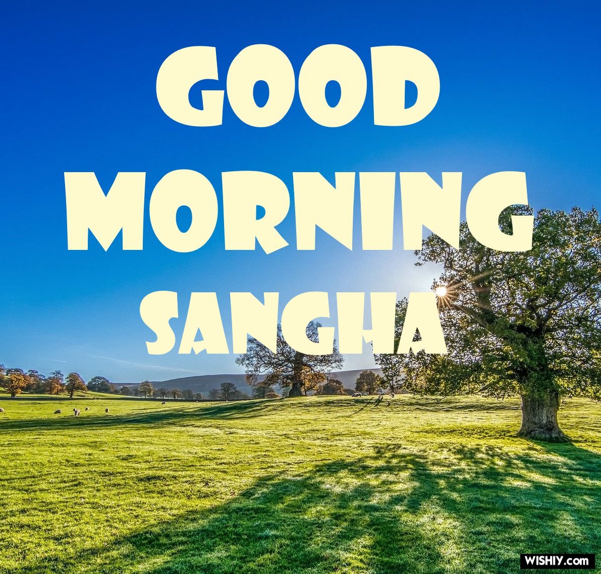 Sangha Wallpapers