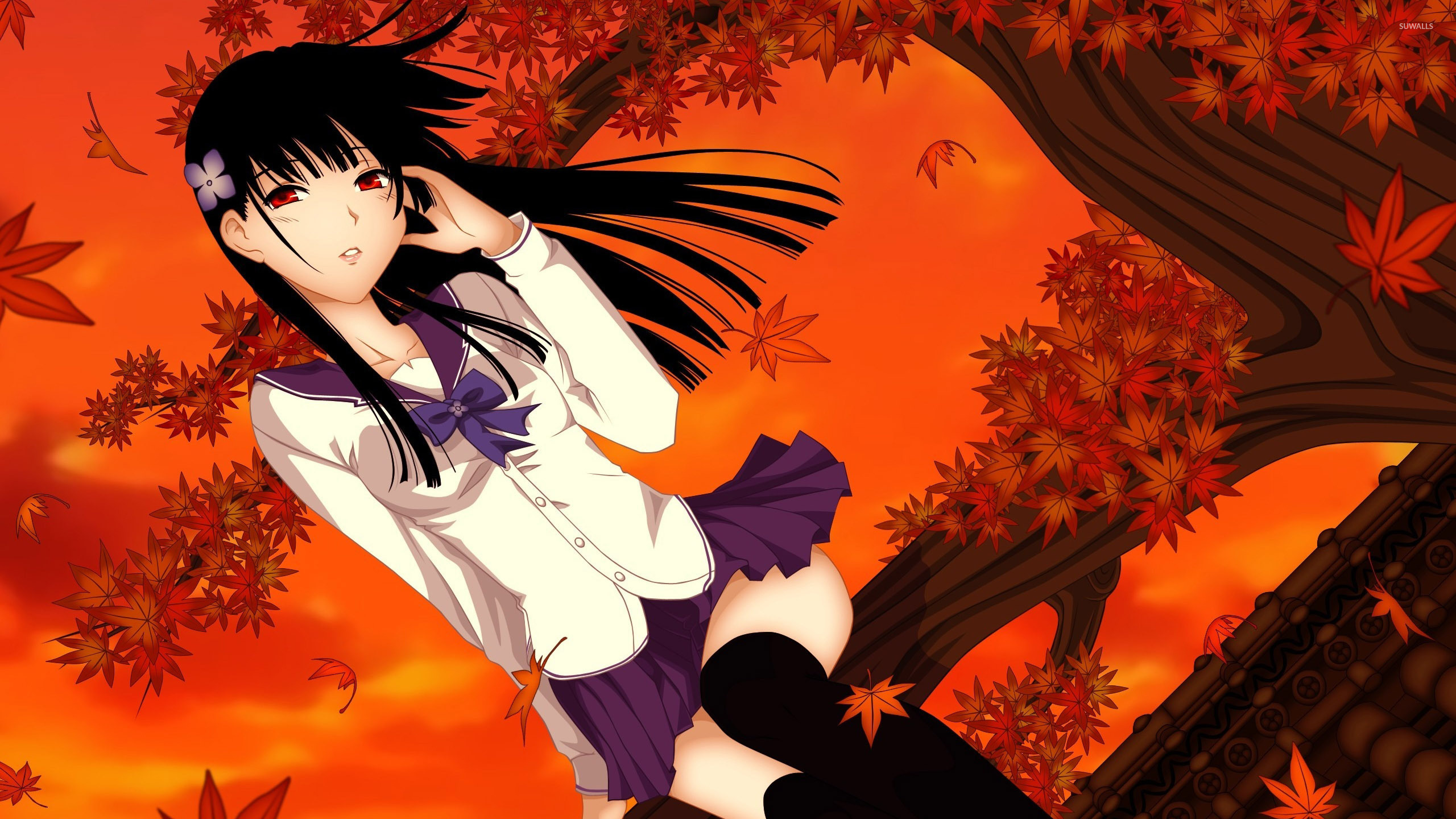 Sankarea Wallpapers