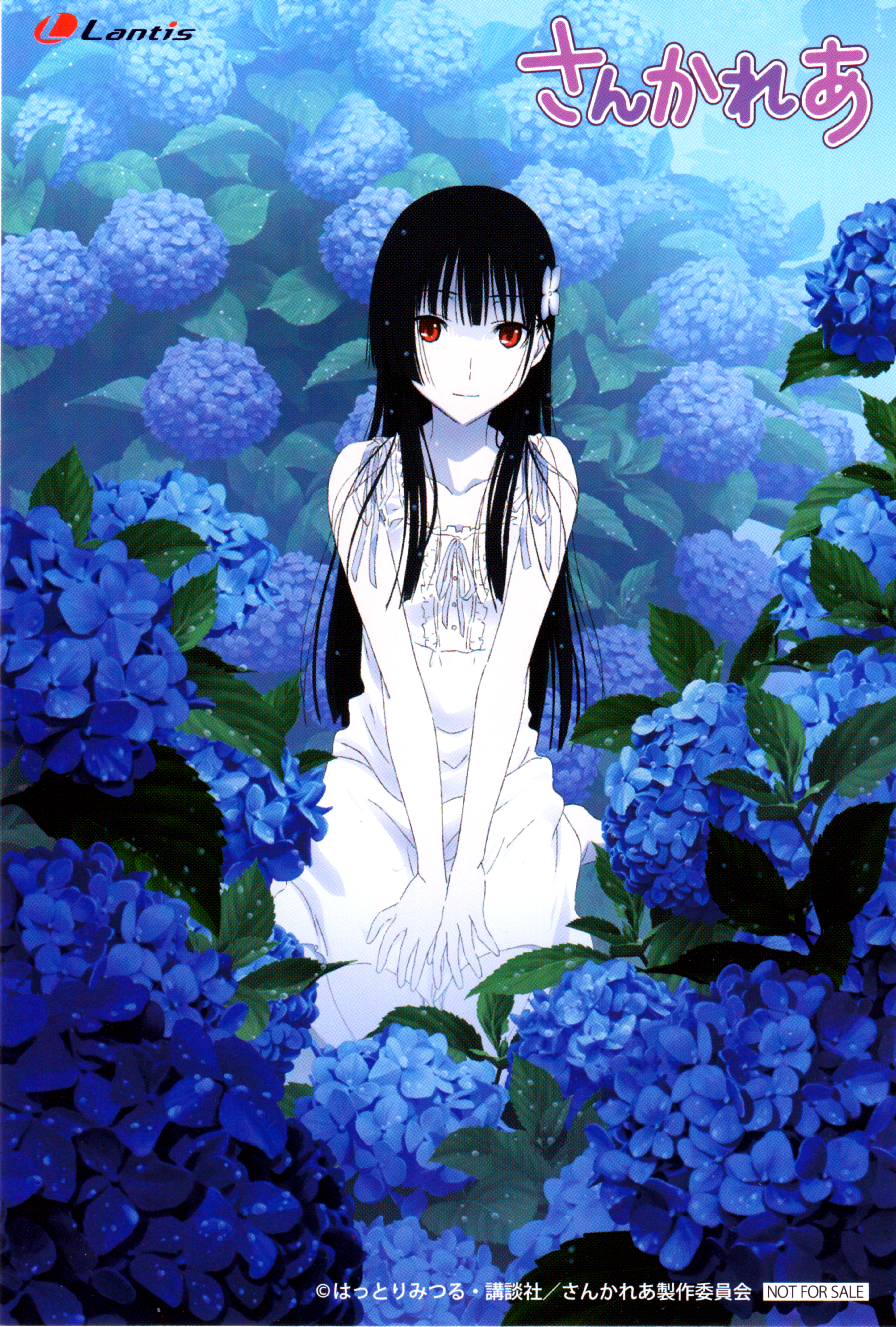 Sankarea Wallpapers