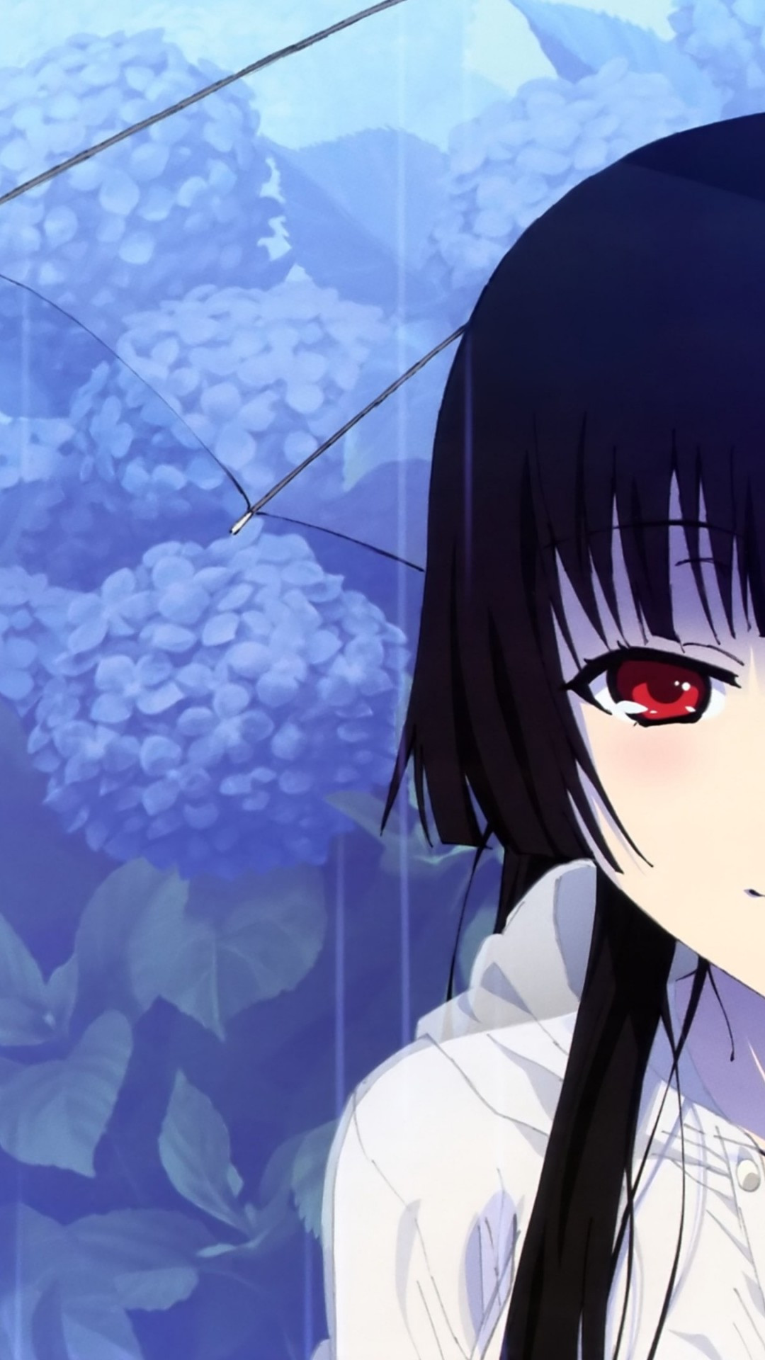 Sankarea Wallpapers