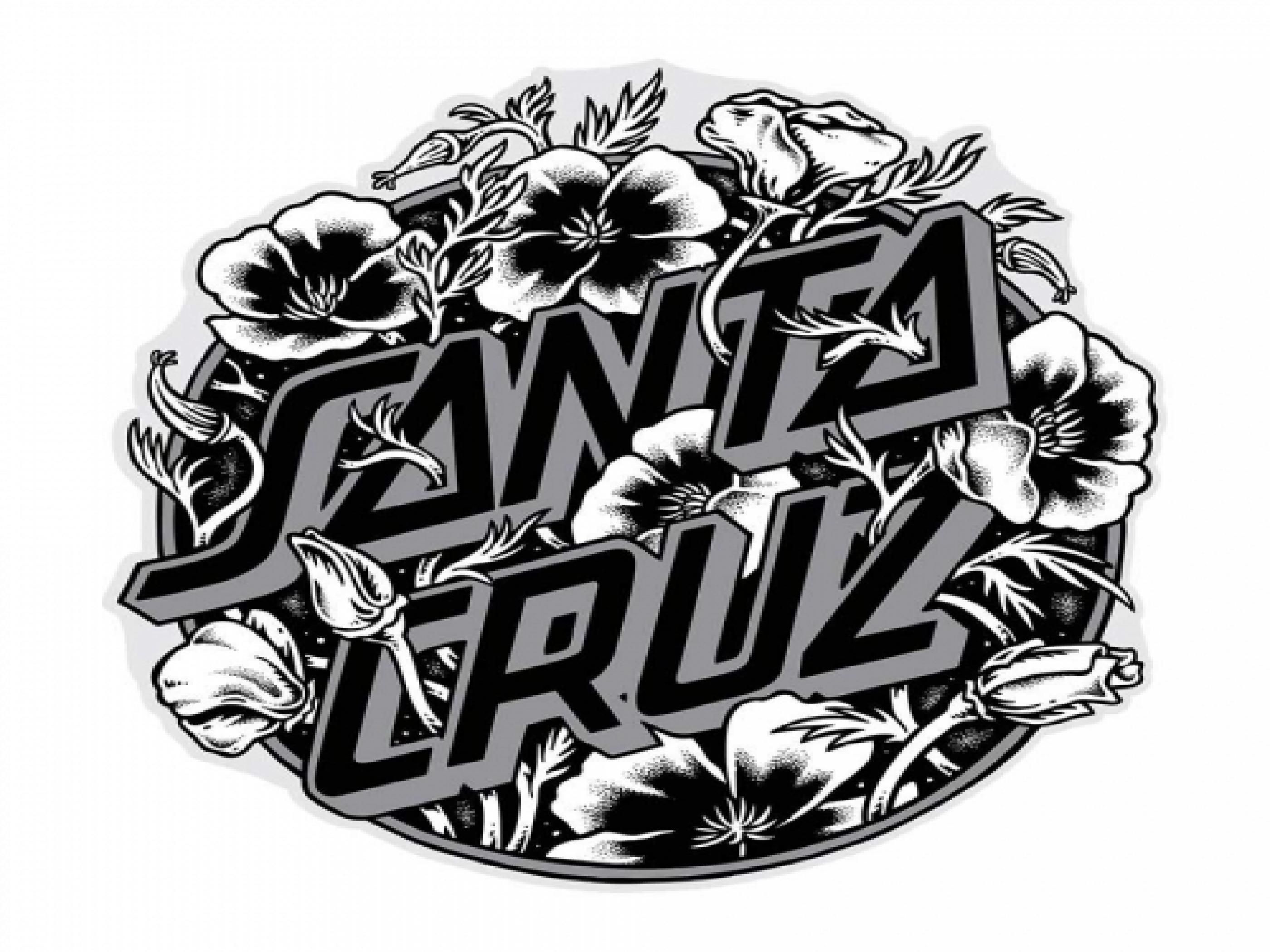 Santa Cruz Iphone Wallpapers