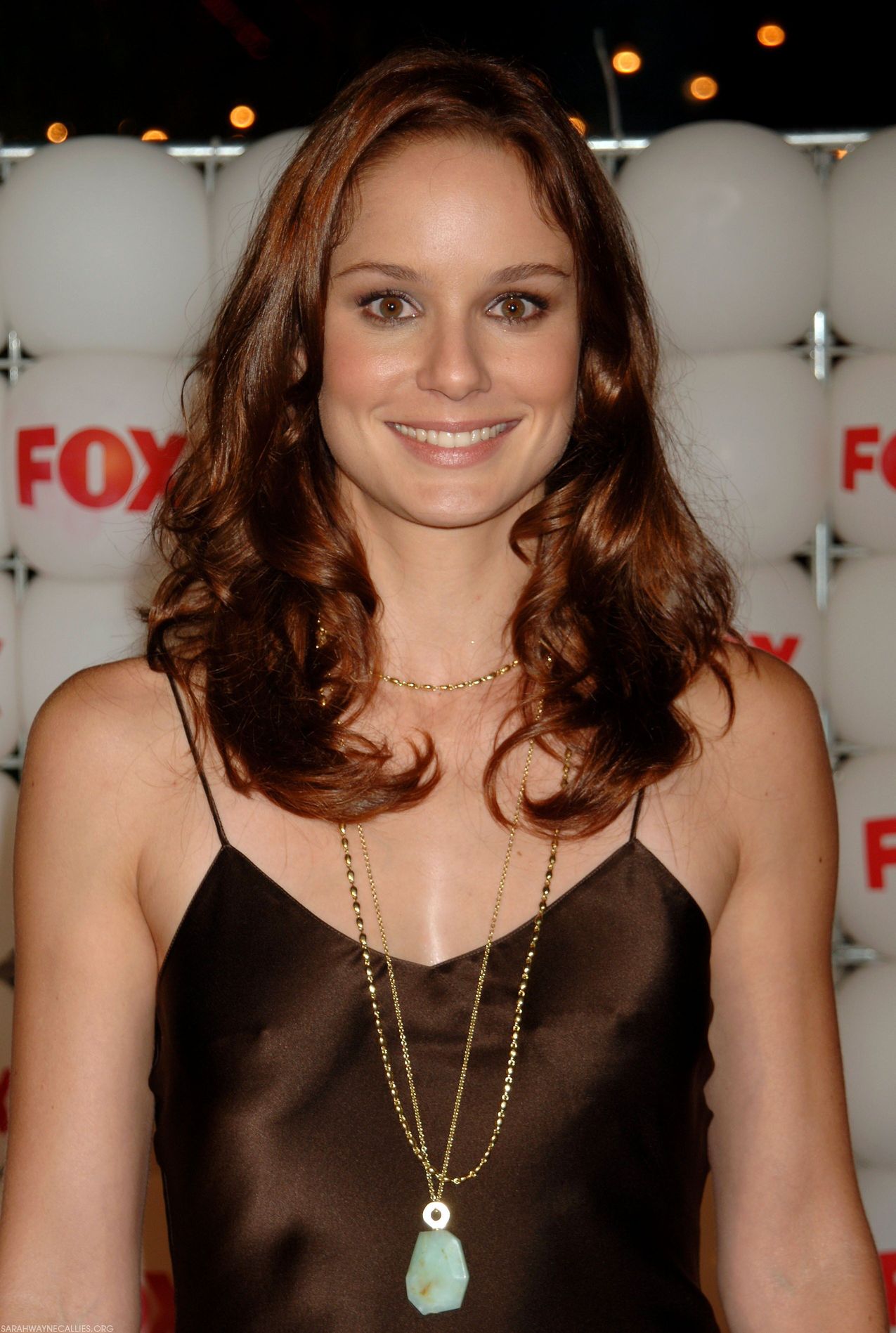 Sarah Wayne Callies Wallpapers