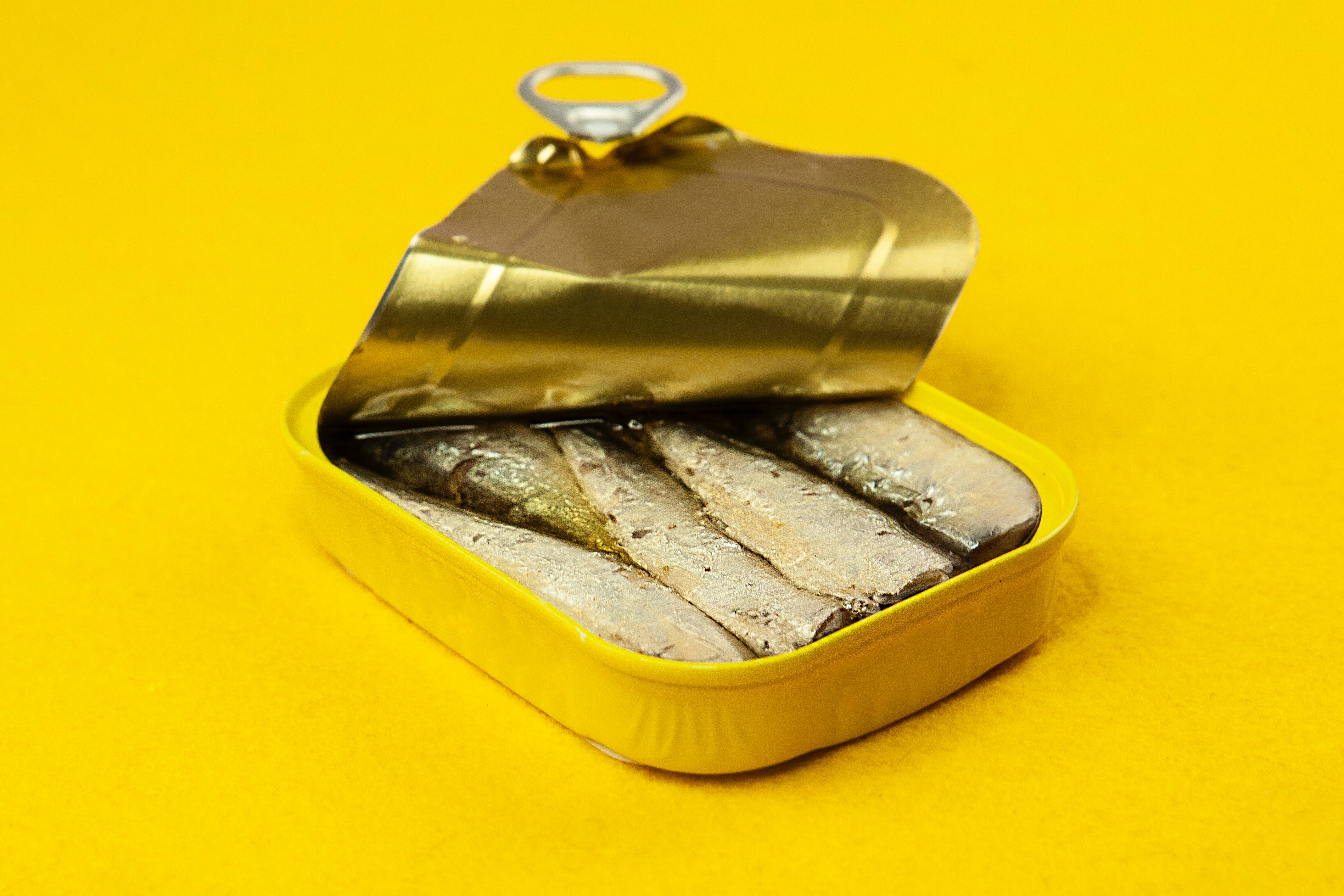 Sardines Wallpapers