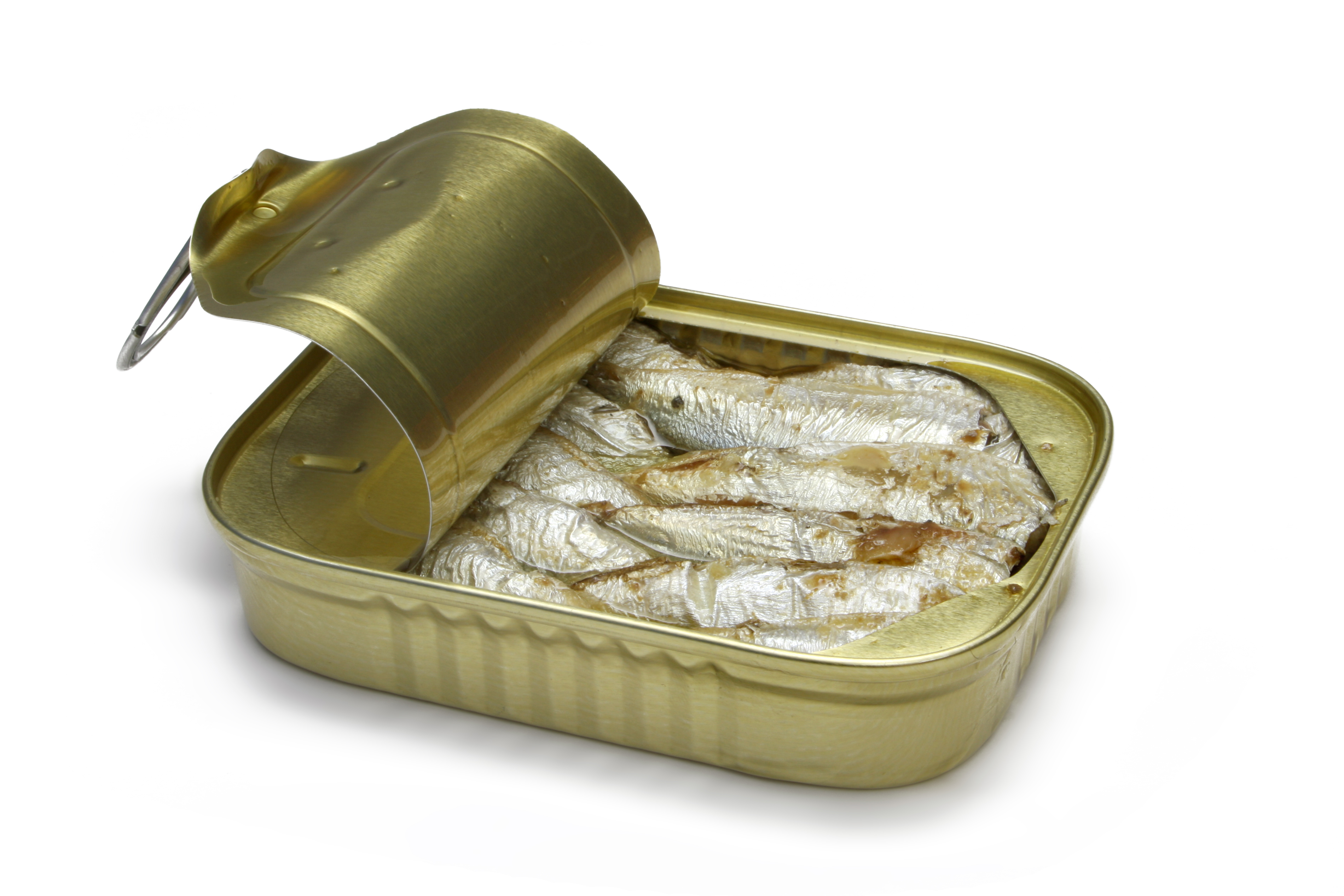 Sardines Wallpapers