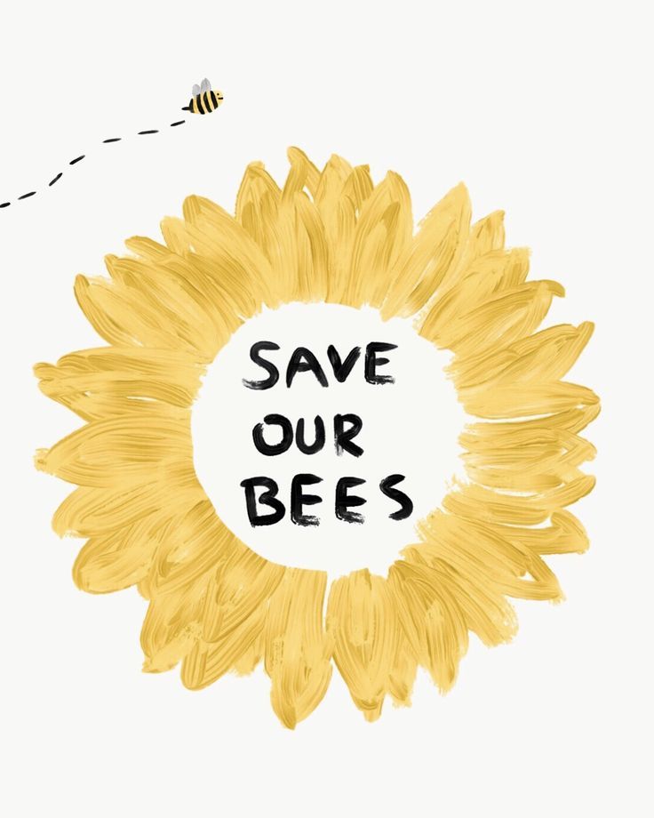 Save The Bees Wallpapers