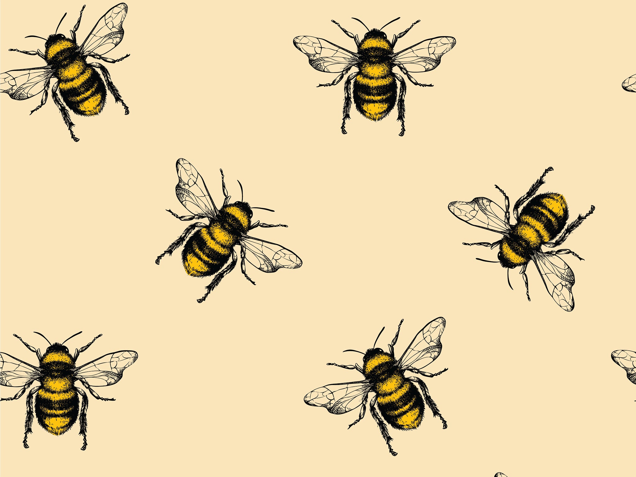 Save The Bees Wallpapers