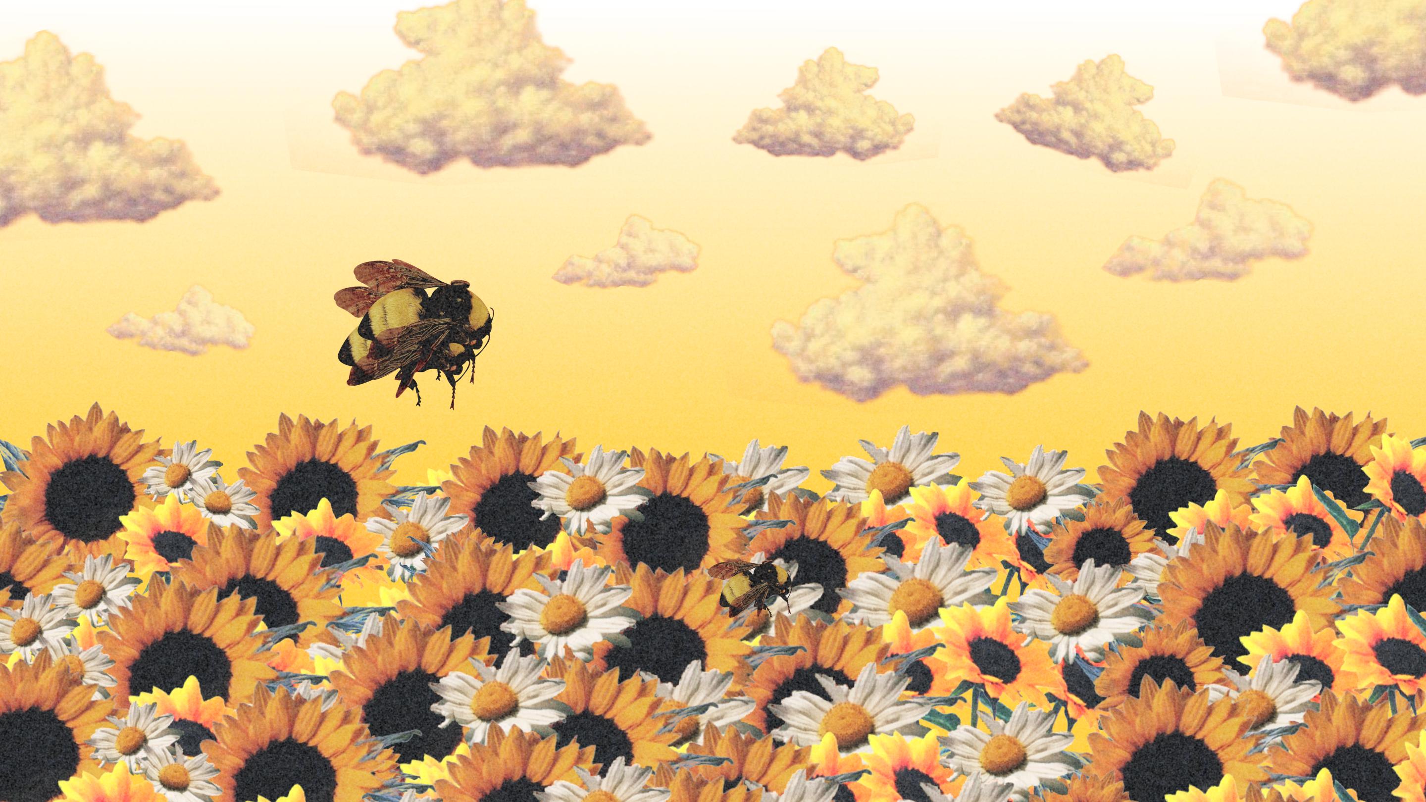 Save The Bees Wallpapers