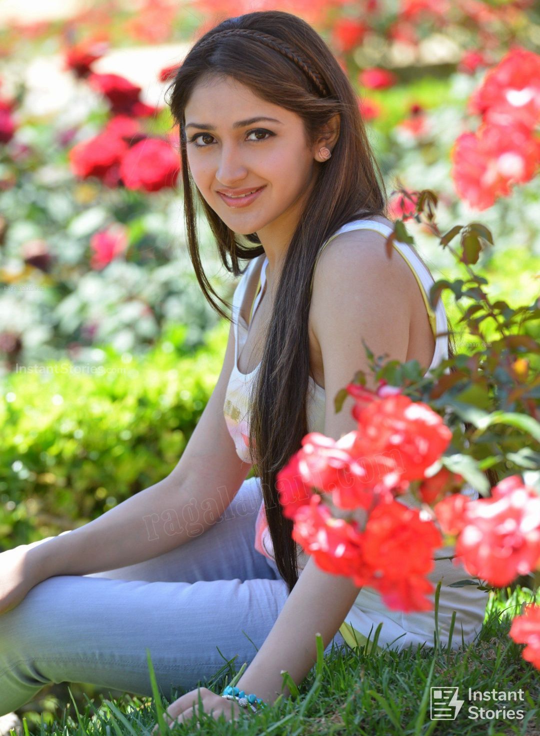 Sayesha Saigal Wallpapers