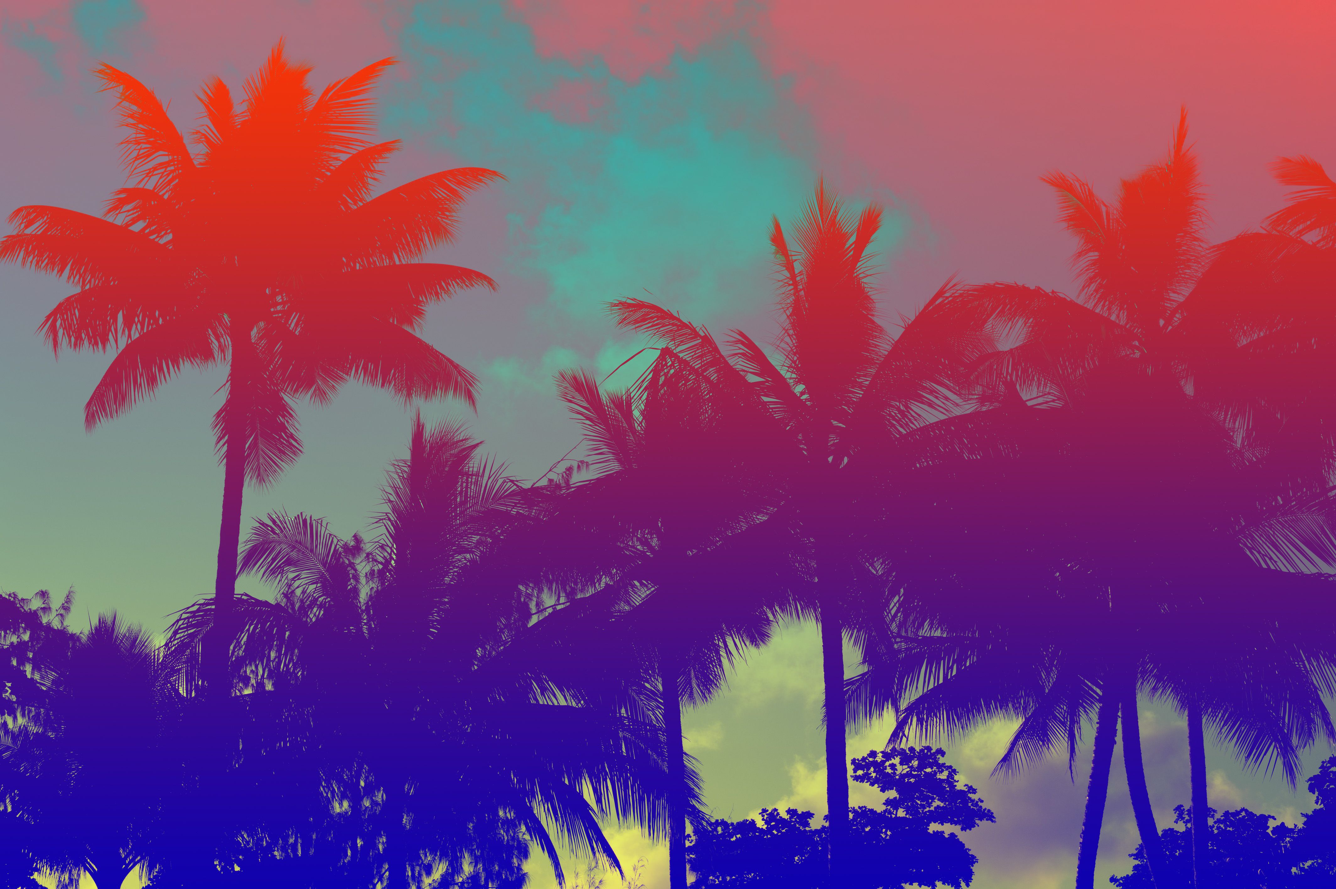 Scarface Tropical Wallpapers