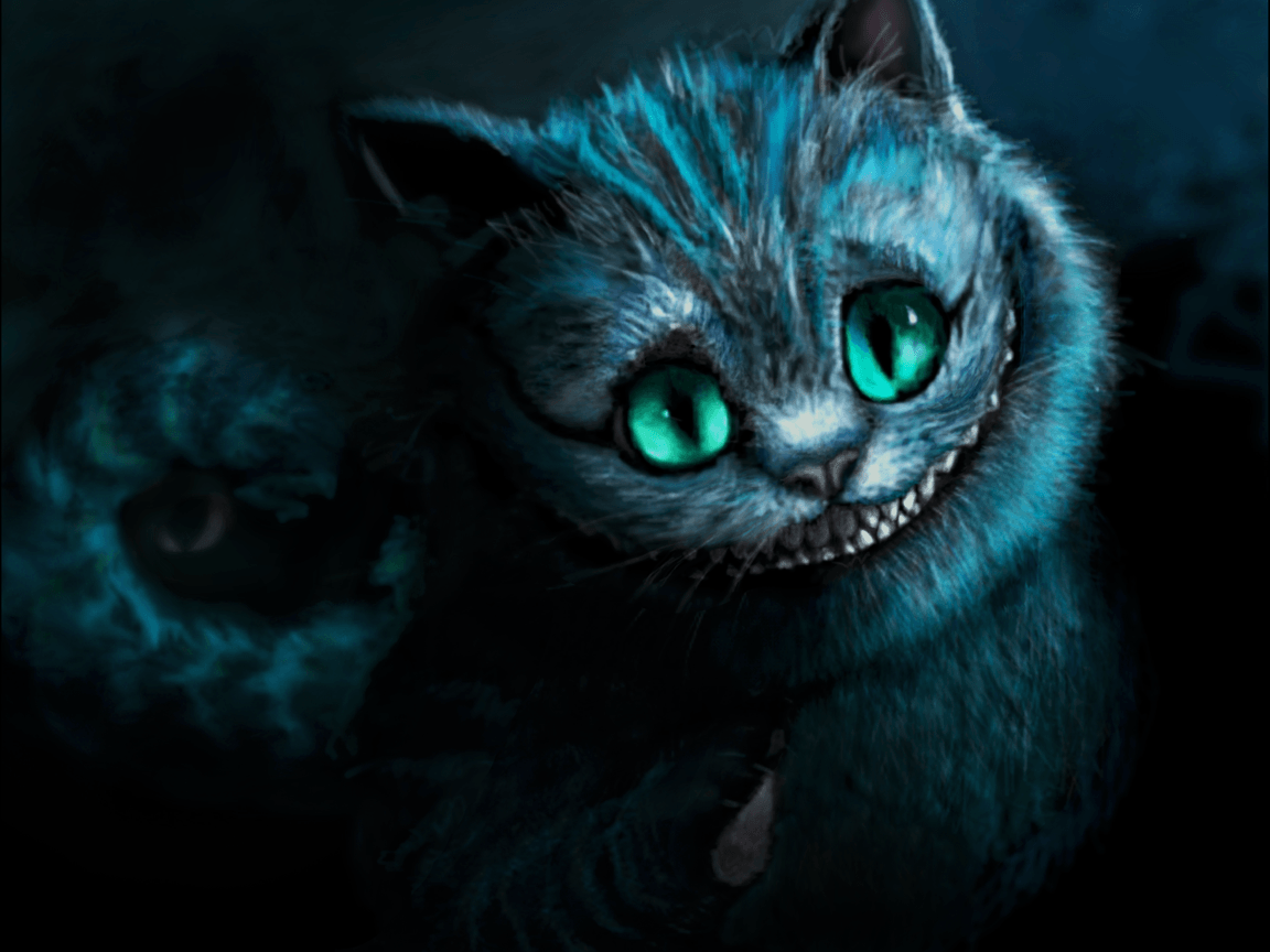 Scary Cat Wallpapers