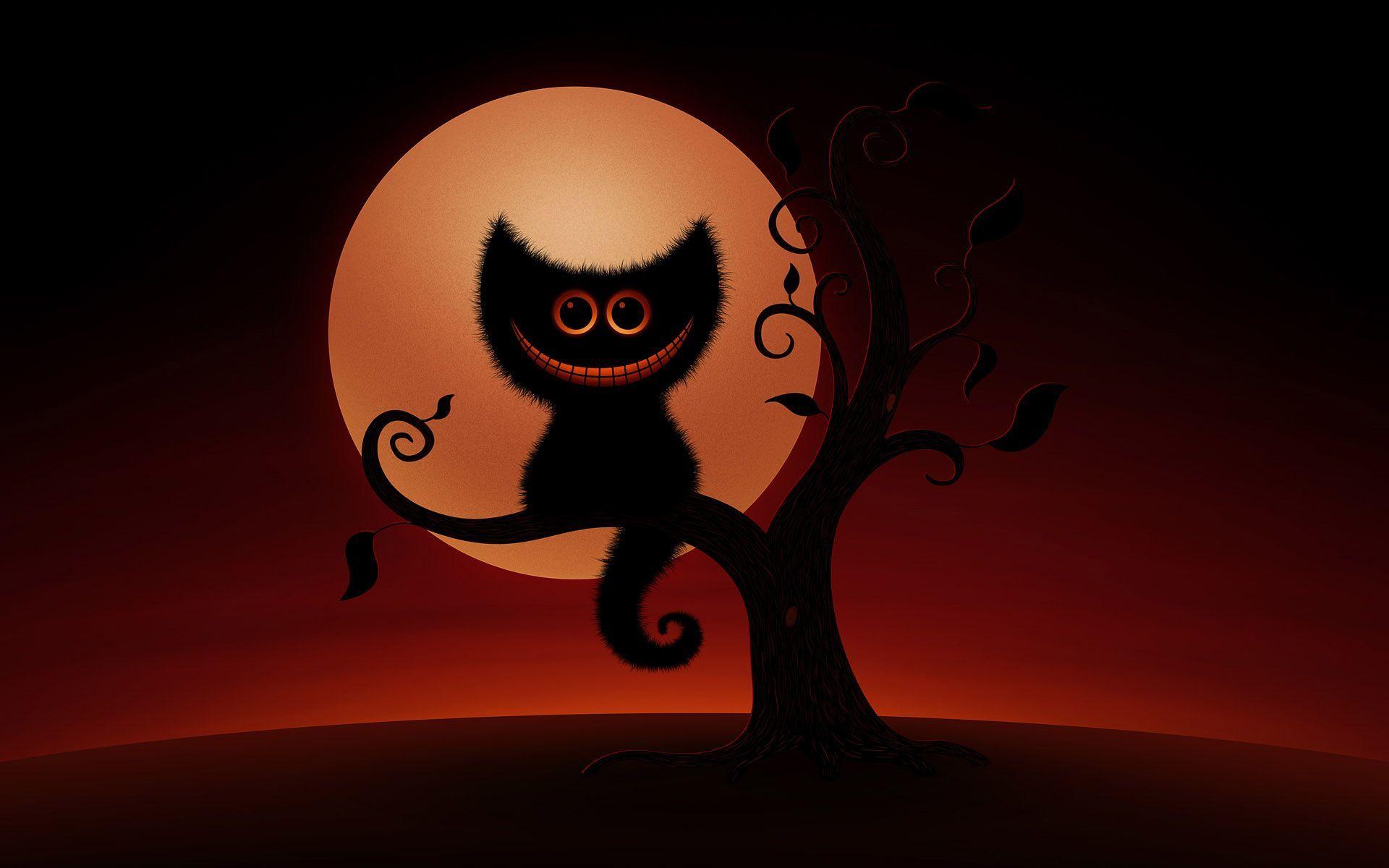 Scary Cat Wallpapers