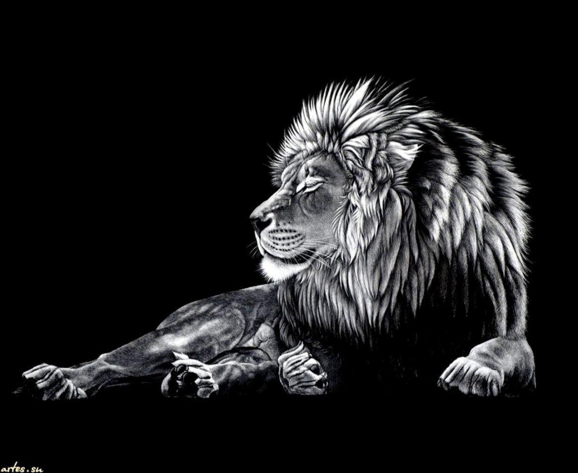 Scary Lion Wallpapers