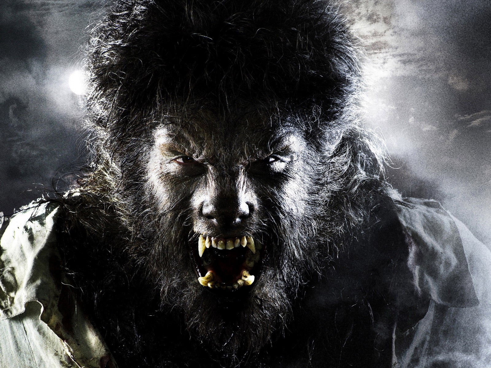 Scary Werewolf Picture Wallpapers