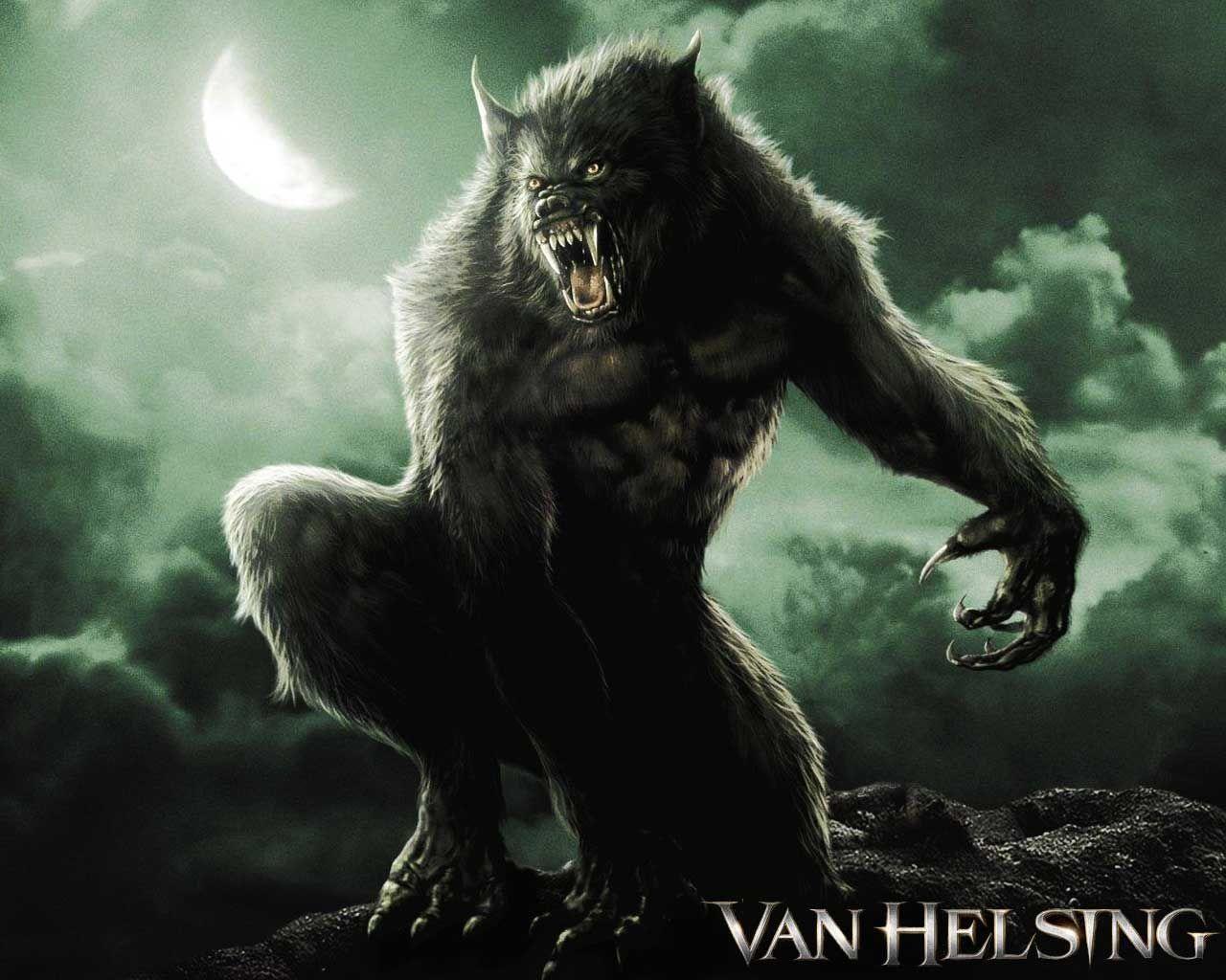 Scary Werewolf Picture Wallpapers