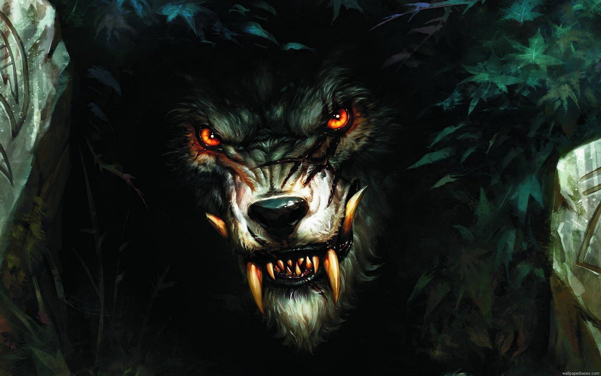 Scary Werewolf Picture Wallpapers