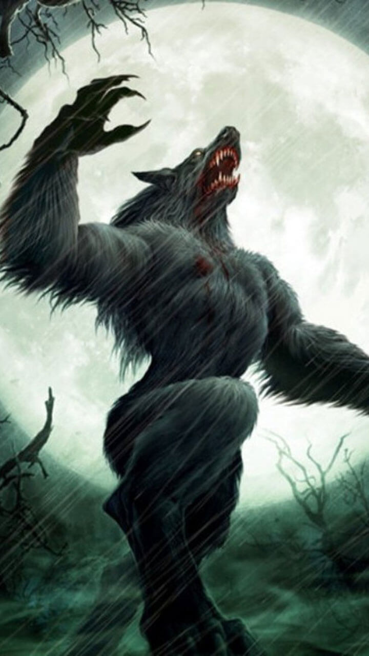 Scary Werewolf Picture Wallpapers