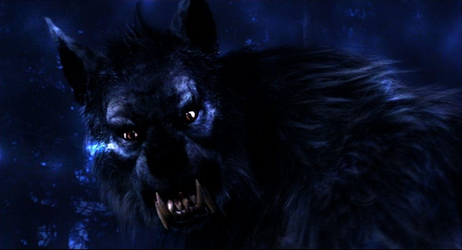 Scary Werewolf Picture Wallpapers