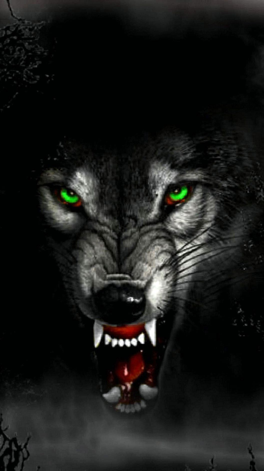 Scary Wolf Wallpapers