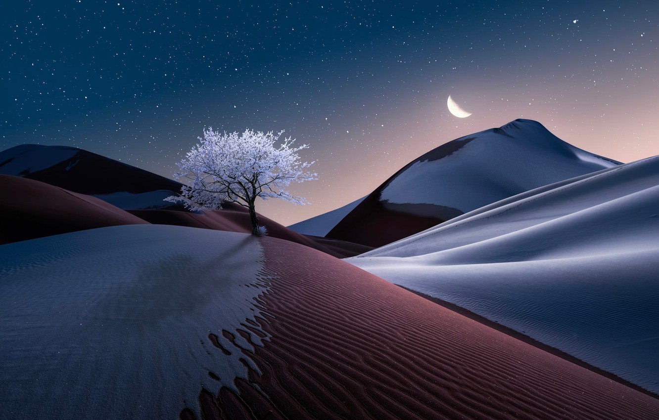 Scenery Night Digital Art Wallpapers