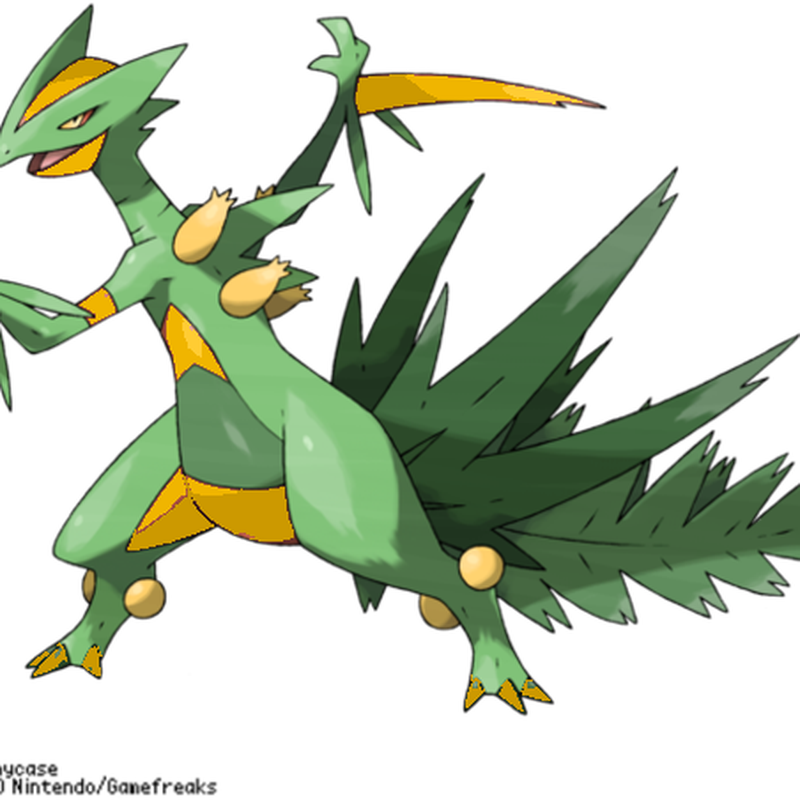 Sceptile Hd Wallpapers