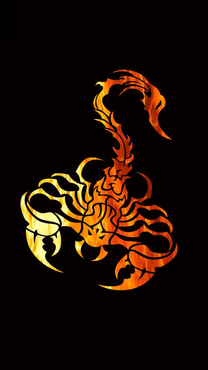 Scorpion Iphone Wallpapers